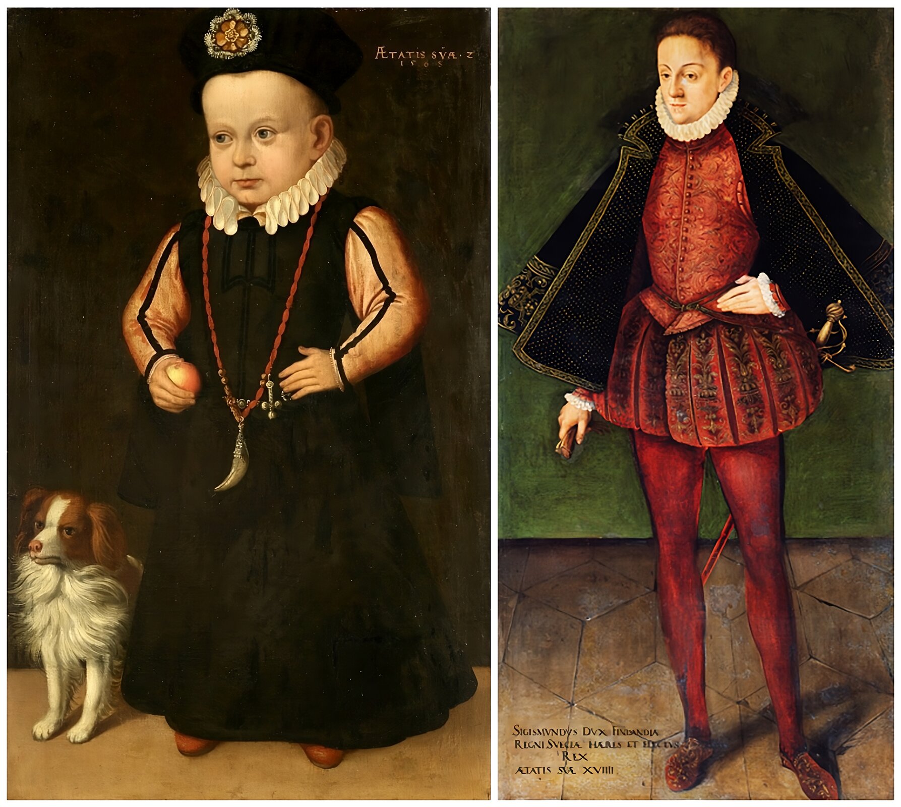 Ilustracja składa się z dwóch obrazów. Na obrazie po lewej stronie ukazano sylwetkę dwuletniego królewicza Zygmunta w aksamitnej sukience ‑ kontusiku na modłę polską z hiszpańską krezą na szyi. Jest przepasany aksamitnym paskiem z metalowymi okuciami. Chłopiec ma na głowie beret z przypiętym z przodu klejnotem. W prawej dłoni trzyma grzechotkę. Na szyi mały królewicz ma amulet z wilczego zęba. Chłopcu towarzyszy z lewej strony mały rudo‑biały spaniel z białą strzałką na głowie. Na obrazie po prawej stronie znajduje się łaciński napis:  AETATIS SVAE 2/1568. Na prawo portret osiemnastoletniego królewicza Finlandii Zygmunta, o czym informuje łaciński napis na obrazie z lewej strony, w stroju hiszpańskim. Królewicz nosi wams, czyli obcisły kaftan z wyraźnie zaznaczonym pasem, do którego przytwierdzony jest skórzany pas z rapierem na końcu. Do niego nałożył krótkie, bufiaste spodenki i jedwabne pończochy oraz półbuty. Szyję oplata wykonana z cienkiego płótna kreza. Zewnętrzną szatą jest aksamitny krótki płaszcz bogato haftowany złotą nicią.