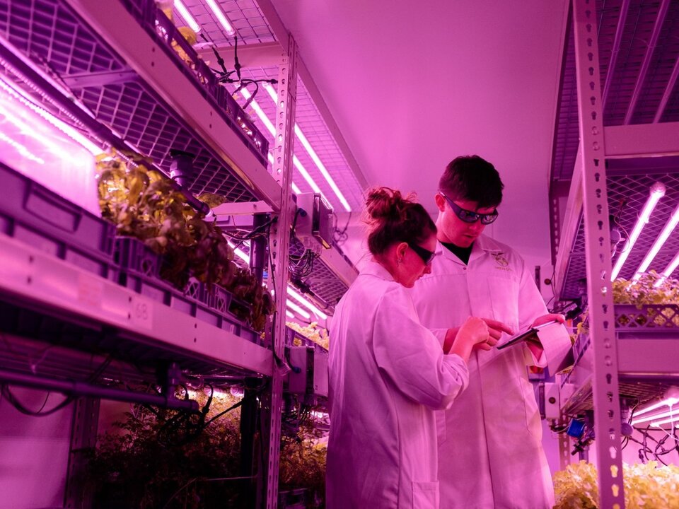 Zdjęcie przedstawia kobietę i mężczyznę w fartuchach laboratoryjnych stojących między półkami, na których znajdują się różne skrzynki. Oboje mają założone ochronne okulary. Pomieszczenie wypełnia różowa poświata.