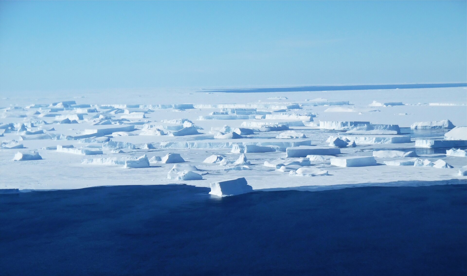 Fotografia w odcieniach bieli i błękitu przedstawia krajobraz lodowej pustyni na Antarktydzie. Na pierwszym planie płaszczyzna wody. Gdzieniegdzie leżą fragmenty lodu.