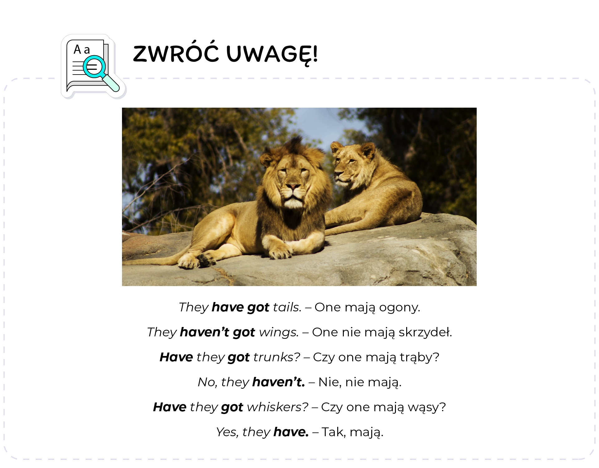 Ilustracja podpisana jest: Zapamiętaj. W jej lewym górnym rogu znajduje się ikonka otwartej książki i mózgu. Poniżej znajduje się zdjęcie pary lwów leżących na kamieniu. Poniżej znajdują się zdania po angielsku oraz ich tłumaczenia.  They have got tails One mają ogony. They haven’t got wings One nie mają skrzydeł.  Have they got trunks? Czy one mają trąby?  No, they haven’t Nie, nie mają.  Have they got whiskers?  Czy one mają wąsy?  Yes, they have Tak, mają.