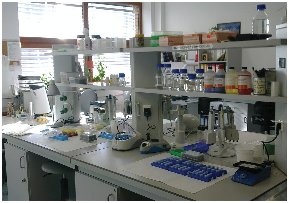 Fotografia przedstawia wnętrze laboratorium. Na białych stolikach stoją różne urządzenia badawcze, większość w kolorze szafirowym i białym. Na półkach nad nimi umieszczono liczne kolorowe pojemniki z substancjami chemicznymi. Bakterie wykorzystuje się w badaniach genetycznych.