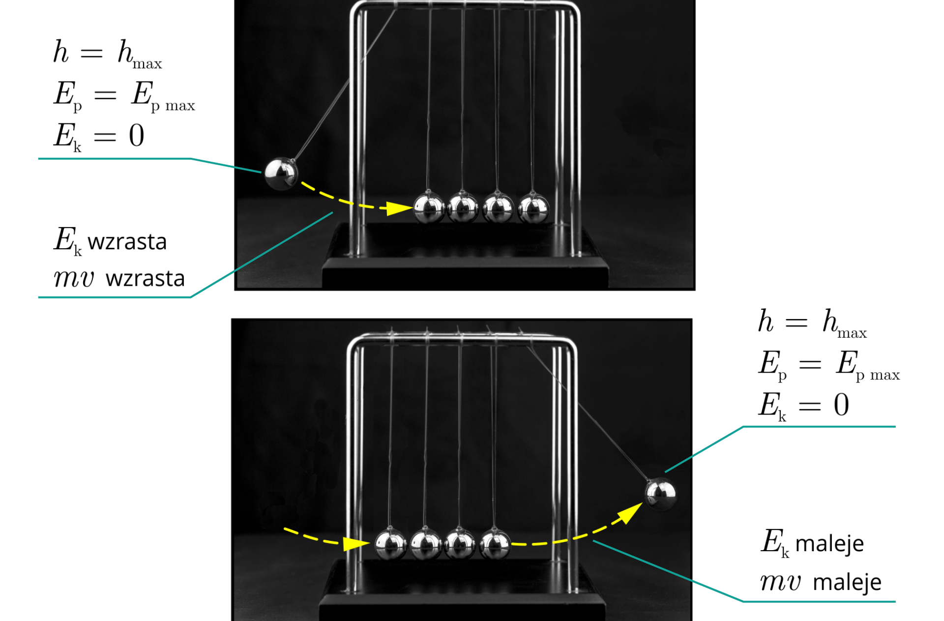 Ilustracja złożona z dwóch zdjęć. Na każdym ciemne tło, a w centralnej części stojak na którym zawieszonych jest pięć wahadeł. Stojak ma dwa ramiona, a kulki wahadeł stykają się i są zawieszone równolegle na niciach zaczepionych na każdym z ramion stojaka. Kulki są metalowe, widać w nich odbicie osoby robiącej zdjęcie. Na pierwszym zdjęciu skrajna lewa kulka jest odchylona. Poprowadzono od niej przerywaną linią łuk z grotem na końcu, skierowanym na pierwszą z brzegu kulkę. Obok kulki podpis: h=hmax, Ep=Ep max, Ek=0. Obok przerywanej linii podpis: Ek wzrasta, mv wzrasta. Na drugim zdjęciu skrajna prawa kulka jest odchylona. Poprowadzono do skrajnej lewej kulki przerywaną linią łuk z grotem na końcu, skierowanym na nią, oraz od ostatniej w linii kulki przerywaną linią łuk z grotem na końcu, skierowanym na odchyloną kulkę. Obok kulki podpis: h=hmax. Obok przerywanej linii podpis: Ek maleje, mv maleje.