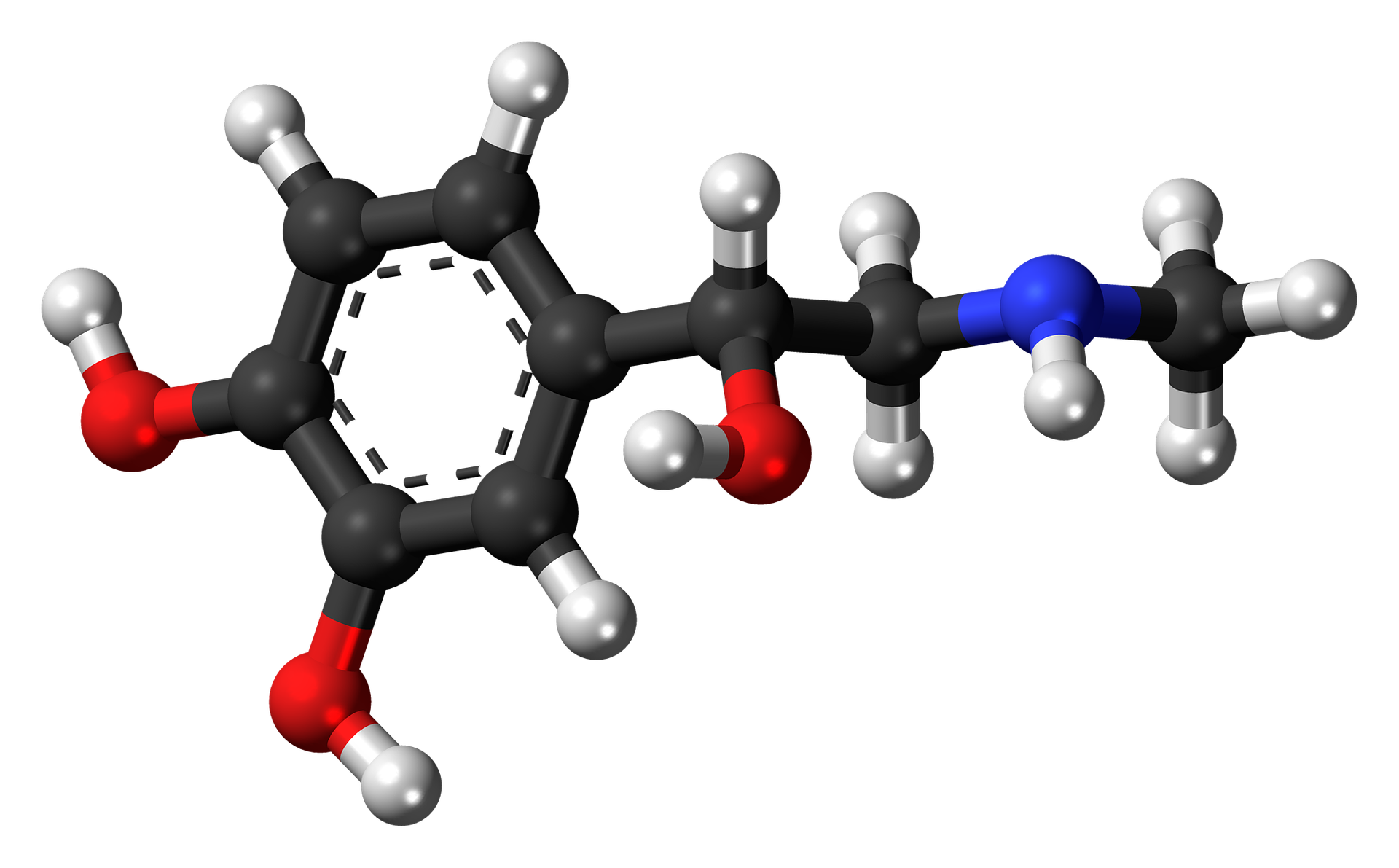 Ilustracja przedstawia budowę adrenaliny. Konstrukcja cząsteczki składa się z krótkich, prostych odcinków, w kolorze srebrnym, czarnym, czerwonym i niebieskim, co symbolizuje pierwiastki chemiczne: C (węgiel), H (wodór) N (azot) i O (tlen). Łączą się one ze sobą przypominając sześciokątny pierścień. Reszta odcinków łączących się z pierścieniem tworzy linię zakończoną atomami. Na modelu atomy są zobrazowane jako niewielkie, srebrne punkty. 
