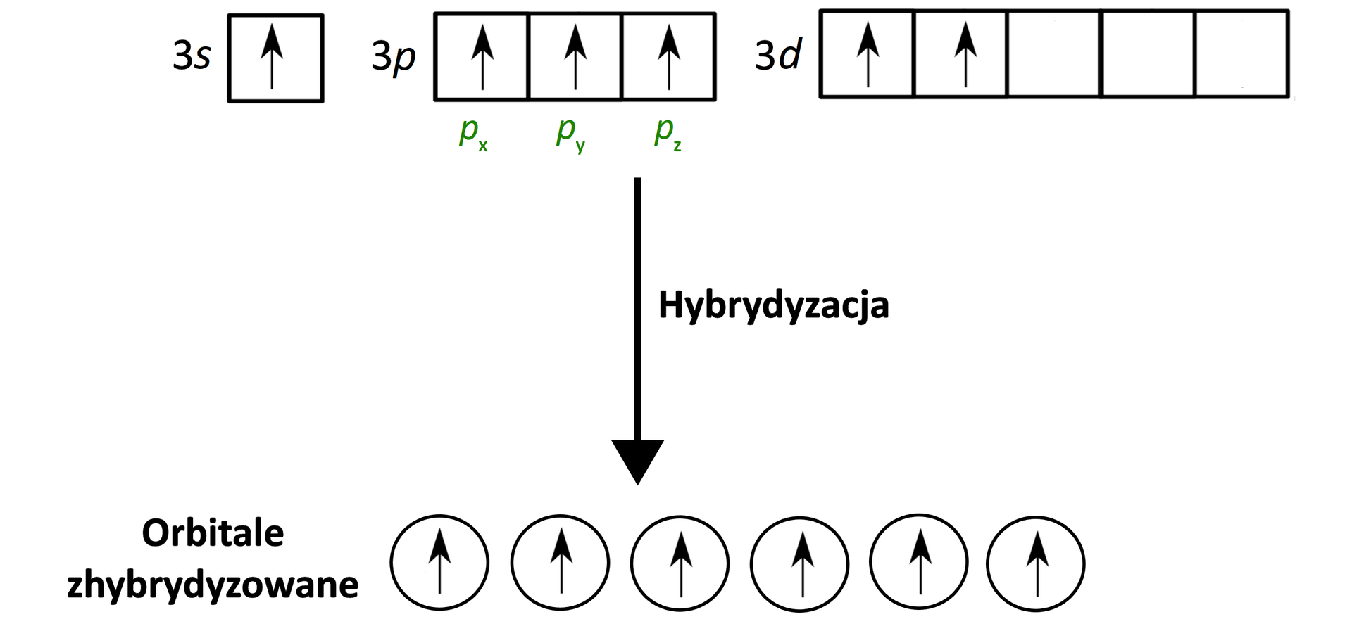 Na ilustracji przedstawiono schematycznie tworzenie się orbitali zhybrydyzowanych. W jednym wierszu zapis konfiguracji elektronowej. Orbital podpisany jako 3s, czyli kwadrat, w którym znajduje się jedna strzałka skierowana w górę. Po prawej stronie trzy orbitale 3p, czyli trzy kwadraty obok siebie, w każdym strzałka skierowana w górę. Po prawej stronie pięć orbitali 3d, czyli pięć kwadratów. W pierwszym i drugim kwadracie znajduje się po jednej strzałce skierowanej w górę. Poniżej strzałka w dół, obok napis: hybrydyzacja. Poniżej znajduje się sześć okręgów, w każdym znajduje się po jednej strzałce, obok podpis: orbitale zhybrydyzowane.