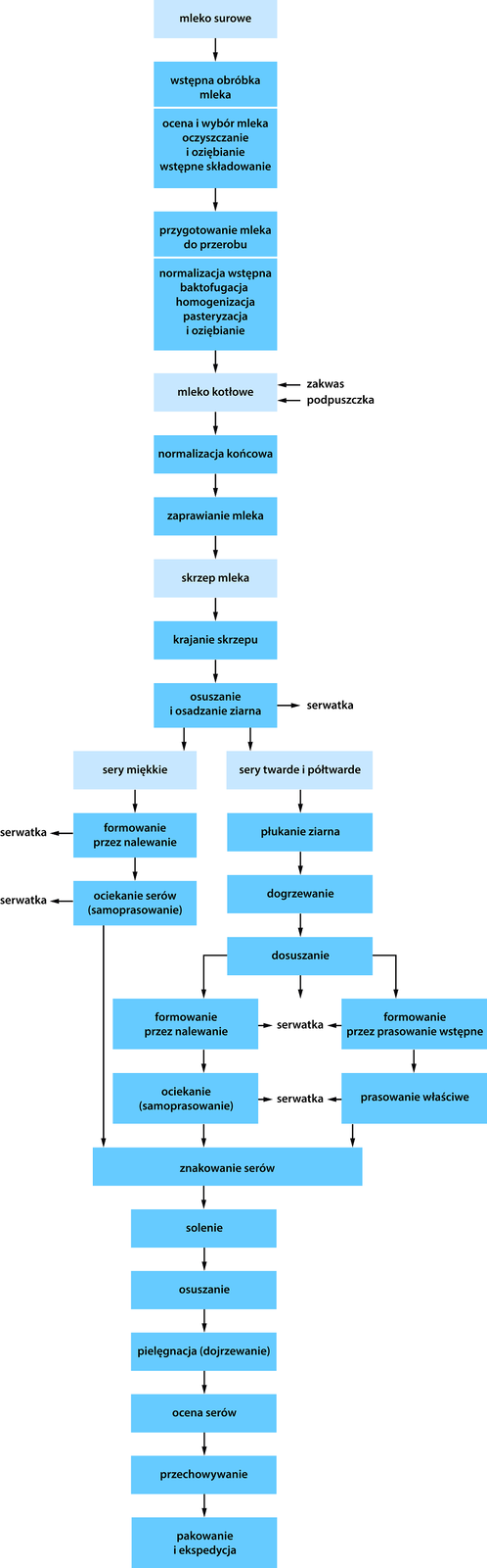 Grafika przedstawia schemat procesu produkcji serów podpuszczkowych. Pierwszym etapem jest wybranie mleka surowego o właściwym składzie i poddanie go wstępnej obróbce. Następnie mleko jest oceniane, oczyszczane, oziębiane i wstępnie składowane. Kolejnym krokiem jest przygotowanie mleka do przerobu: normalizacja wstępna, baktofugacja, czyli  usunięcie szkodliwej mikroflory i zanieczyszczeń mechanicznych, homogenizacja,  która skraca czas krzepnięcia mleka i wpływa na walory zapachowe sera.  Następnie mleko jest pasteryzowane w agregacie płytowym i oziębiane. Mleko przepompowywane jest do wanny serowarskiej lub kotła serowarskiego i dodaje się do niego zakwasu i podpuszczki. Następuje normalizacja końcowa. Po wytworzeniu skrzepu mleka wykonuje się krajanie skrzepu (ułatwia wyciekania serwatki), osuszanie ziarna (powoduje równomierne wypływanie serwatki z całej masy) i osadzanie ziarna. Na tym etapie usuwana jest serwatka.   W tym momencie dzieli się produkcję na dwa rodzaje serów – miękkich oraz twardych i półtwardych.  Sery miękkie są szybko formowane przez nalewanie aby masa serowa nie ostygła i nie straciła zdolności zlepienia oraz odcedzana jest serwatka. Uformowane sery zostawia się do odcieknięcia a następnie znakuje się sery. W kolejnych etapach sery poddaje się soleniu w solance, która nadaje odpowiednie właściwości smakowe, hamuje rozwój szkodliwej mikroflory oraz przyśpiesza dojrzewanie sera. Po dojrzewaniu, sery ocenia się i przechowuje przez jakiś czas. Końcowym etapem jest pakowanie i ekspedycja wyrobów.  Sery twarde po płukaniu ziarna, dogrzaniu i dosuszaniu gęsty serowej można formować w dwojaki sposób. Sposób pierwszy – formowanie przez nalewanie podczas, którego oddaje się serwatkę a następnie ser zostawia się do ocieknięcia. Sposób drugi polega na formowaniu przez prasowanie wstępne podczas, którego oddaje się serwatkę a następnie ser poddaje się pasowaniu wstępnemu, w którym usuwana jest cała serwatka. Uformowane sery zostawia się do odcieknięcia a następnie znakuje się sery. W kolejnych etapach sery poddaje się soleniu w solance, która nadaje odpowiednie właściwości smakowe, hamuje rozwój szkodliwej mikroflory oraz przyśpiesza dojrzewanie sera. Po dojrzewaniu sery ocenia się i przechowuje przez jakiś czas. Końcowym etapem jest pakowanie i ekspedycja wyrobów.