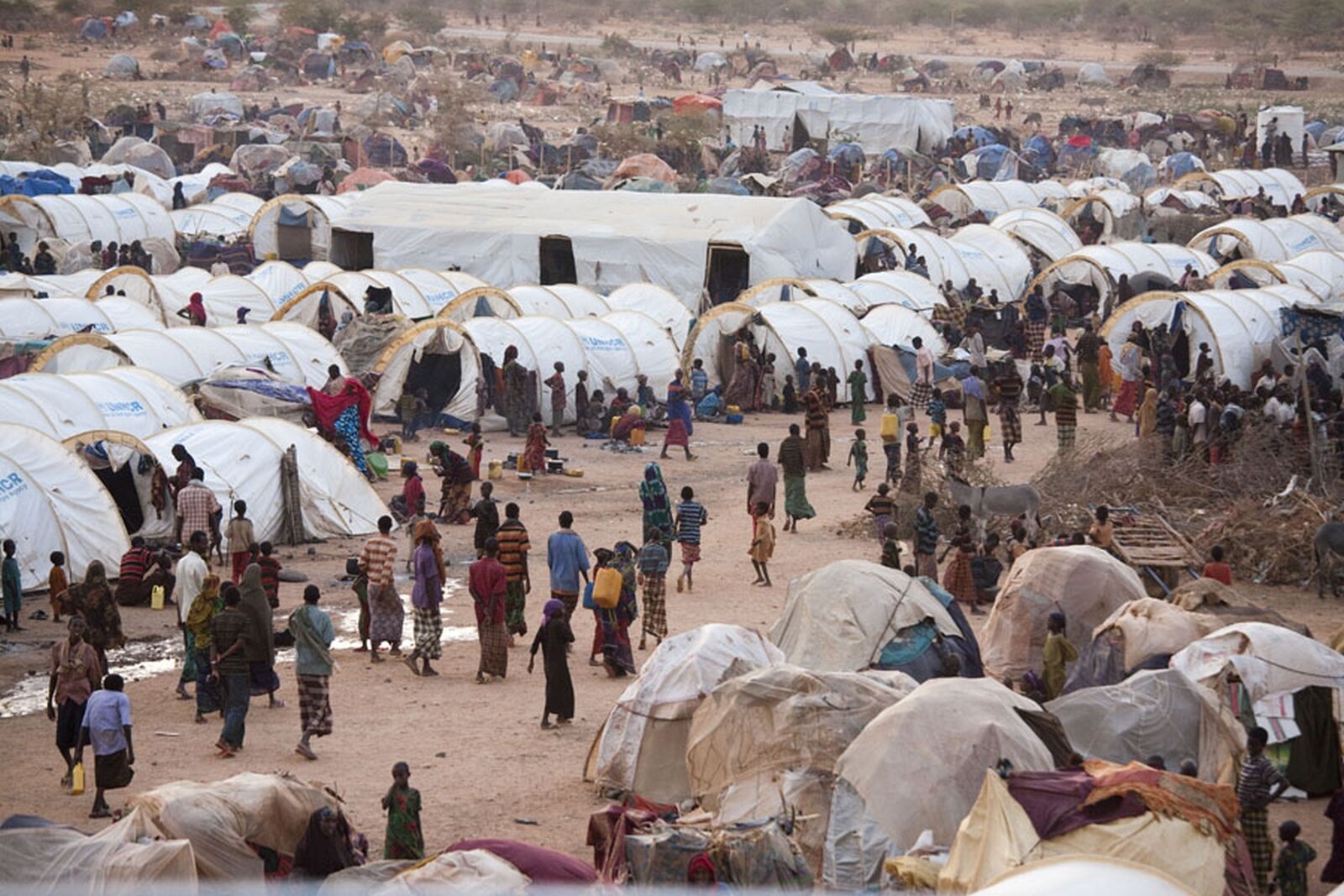 Zdjęcie przedstawiające kilkaset osób przechadzających się po półpustynnym terenie, na którym rozstawiono dziesiątki podłużnych obozowych namiotów.