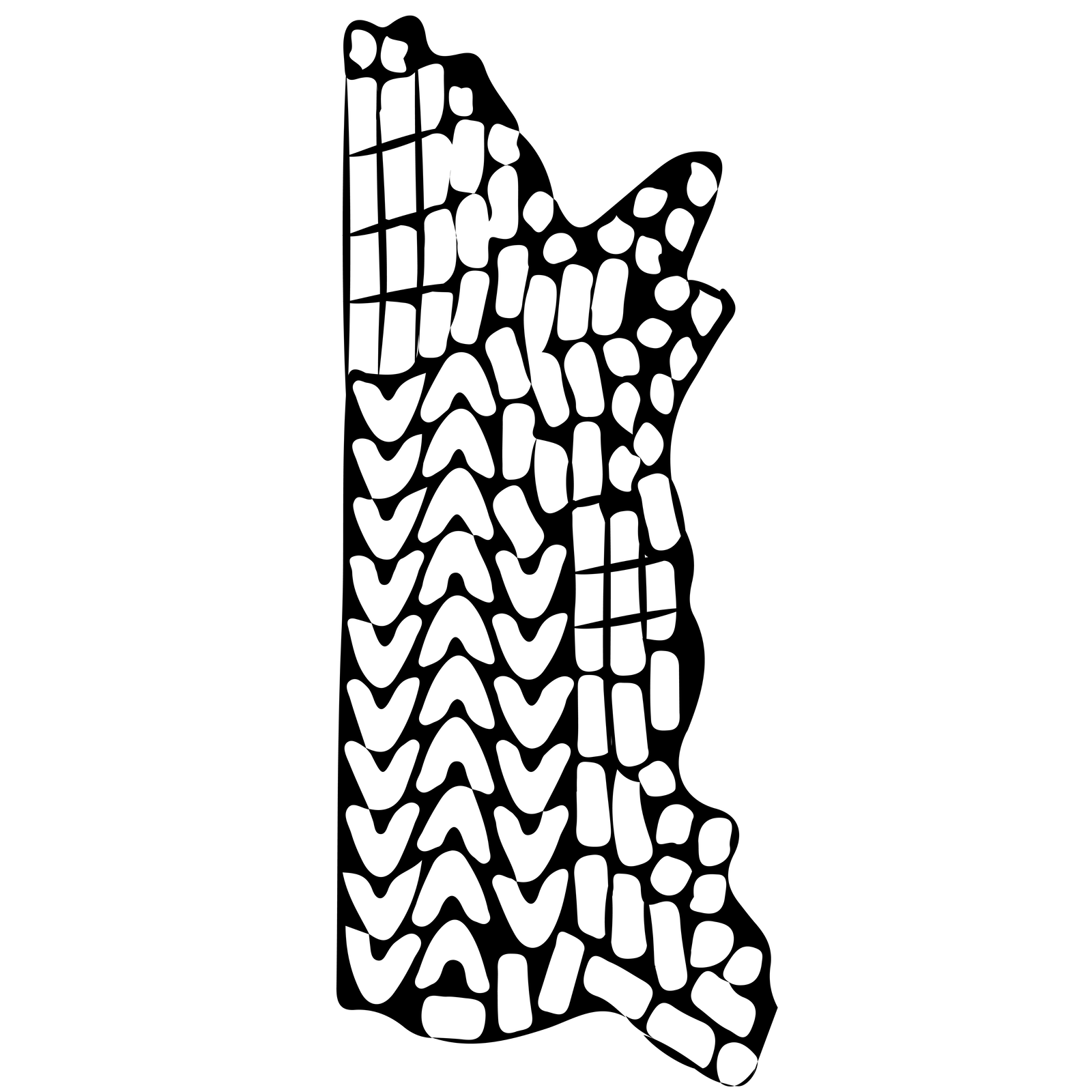 Na rysunku pokazano wzorcowe ułożenie elementów cholewek na prawej połówce boksu bydlęcego. Widoczny podłużny kształt wypełniony mniejszymi różnorodnymi kształtami w białym kolorze. W części karkowej ułożone są przyszwy, w trzech rzędach równolegle. W części bocznej oraz karkowej w pionowych rzędach umiejscowione są obłożyny i miechy. W łapach i na obrzeżach skóry są języki, miechy oraz inne drobne elementy. Wszystkie elementy przylegają do siebie tak, że występuje niewielki odpad międzywzornikowy.