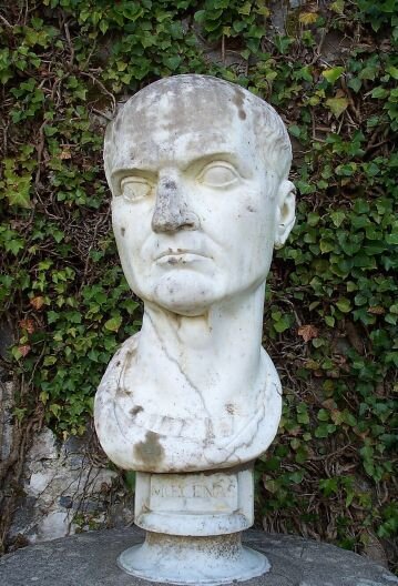 Fotografia przedstawia wyrzeźbione męskie popiersie. Mężczyzna jest w średnim wieku. Ma wysokie czoło, a na bokach głowy niewiele krótkich włosów. Rzeźba ma wyraźnie zarysowane duże oczy. Nos jest prosty i masywny, usta zamknięte. Popiersie obejmuje szyję i ramiona z fragmentem tradycyjnego rzymskiego stroju, który spływa miękko po barkach. Rzeźba ustawiona jest na prostym piedestale, na którym wygrawerowane jest imię „MECENAS”. Rzeźba wykonana jest  z białego marmuru, gdzieniegdzie przebarwionego i popękanego. Figura stoi na tle zieleni. 