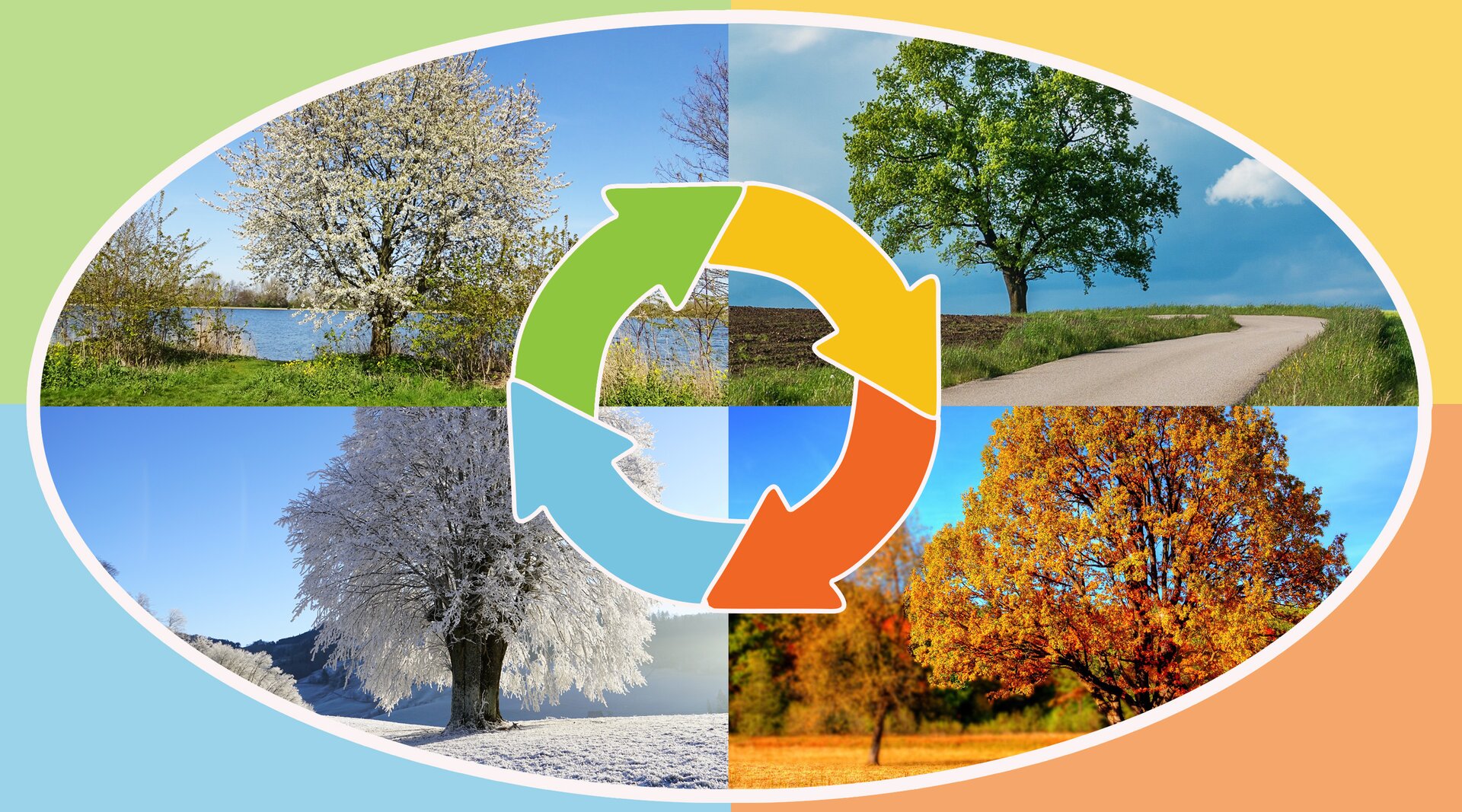 Na ilustracji znajduje się obrazek cztery pory roku.