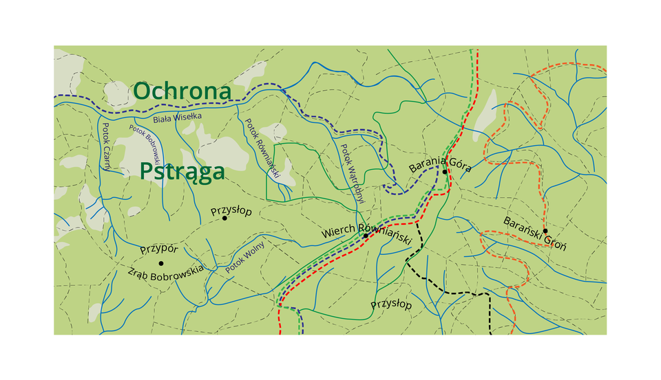 Na zdjęciu przedstawiony jest obszar źródliskowy Wisły. Czarnymi punktami zaznaczono wzniesienia: Baranią Góre, Wierch Równiański, Przypór, Zrąb Bobrowiska, Przysłop czy Barański Groń. Przez niektóre szczyty poprowadzone są szlaki zaznaczone kolorowymi, przerywanymi liniami. Na mapie niebieskimi, ciągłymi liniami zaznaczone są także potoki: od Białej Wisełki odchodzi Potok Czarny, Potok Bobrowski, Potok Równiański czy Potok Wątrobnyi, a z innego miejsca wypływa Potok Wolny. Potoki stanowią obszar źródliskowy. Teren otaczają lasy, które są zaznaczone kolorem zielonym. Na mapie w centralnej części znajduje się duży napis OCHRONA PSTRĄGA. 