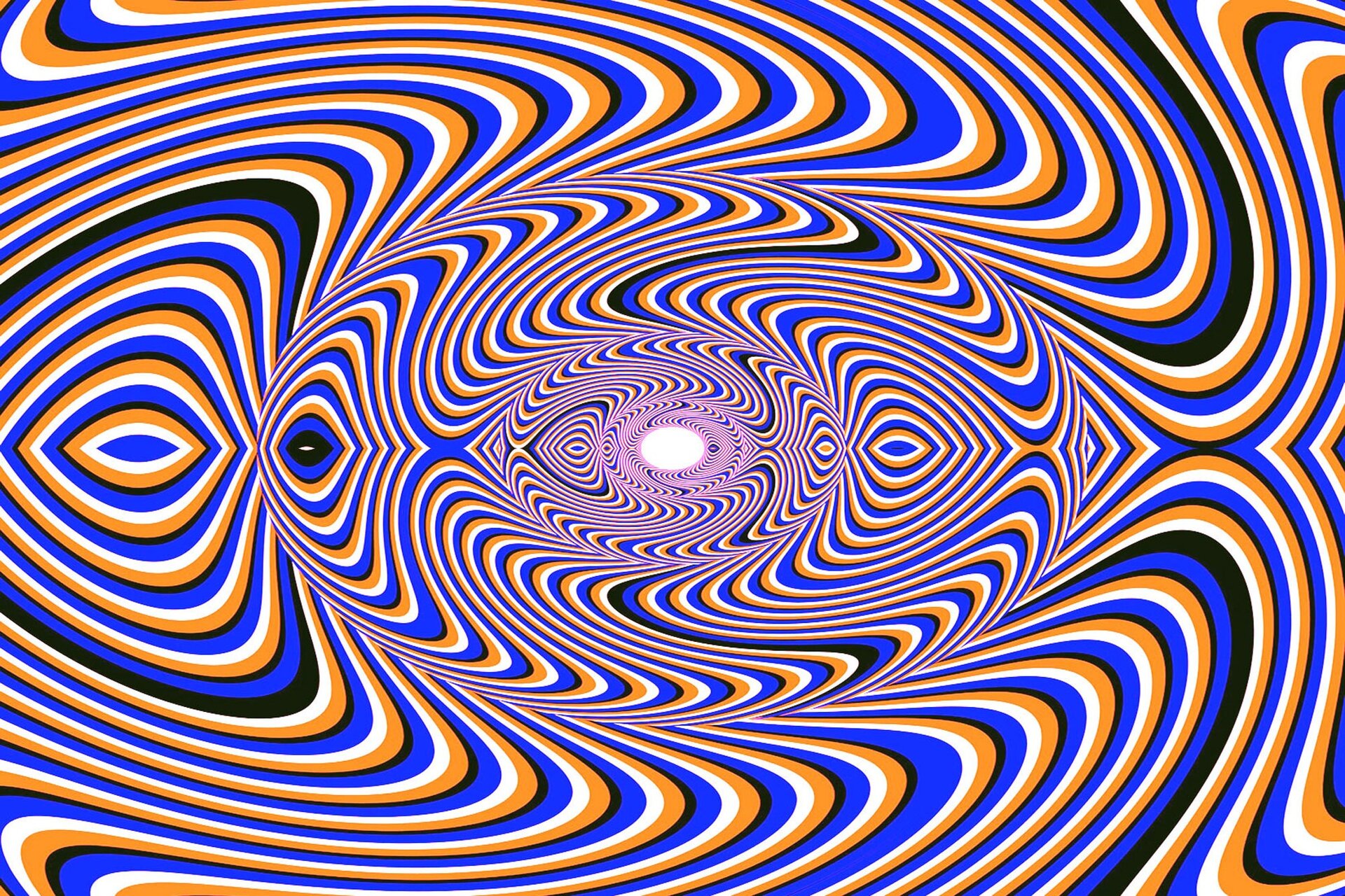 Grafika przedstawia iluzję optyczną. Składa się białych, pomarańczowych, czarnych i niebieskich pasów, które są mocno wykrzywione i tworzą wrażenie tunelu zwężającego się ku środkowej części grafiki. Na końcu tunelu widać białe owalne pole. Osobie wpatrującej się w centralną część grafiki może wydawać się, że jej elementy się poruszają.