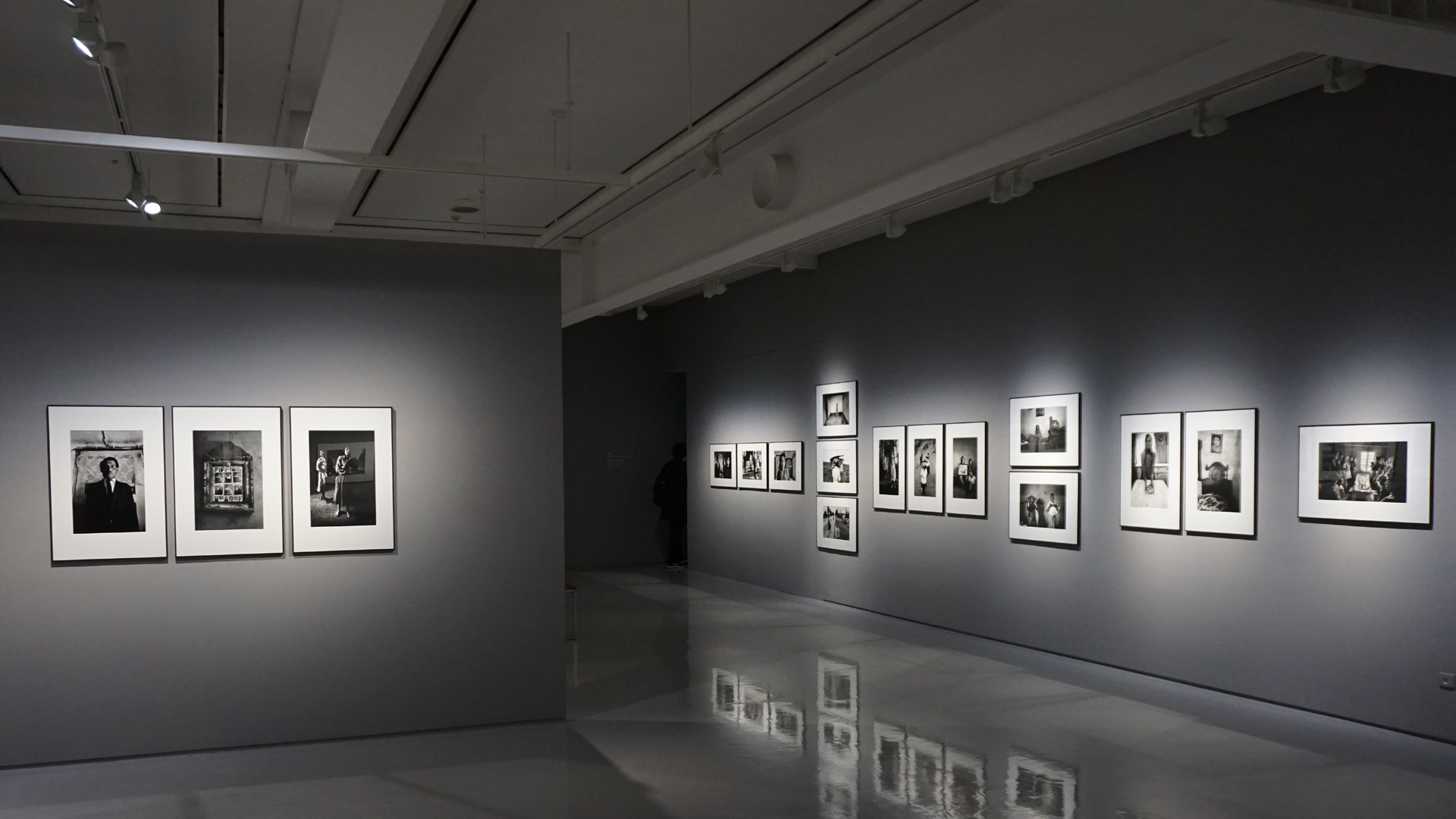 Zdjęcie przedstawia salę, w której odbywa się wystawa. Na ścianach w ramkach wiszą ilustracje. Na suficie wiszą lampy, które podświetlają ilustracje. Sala jest pusta, nie ma w niej ludzi.