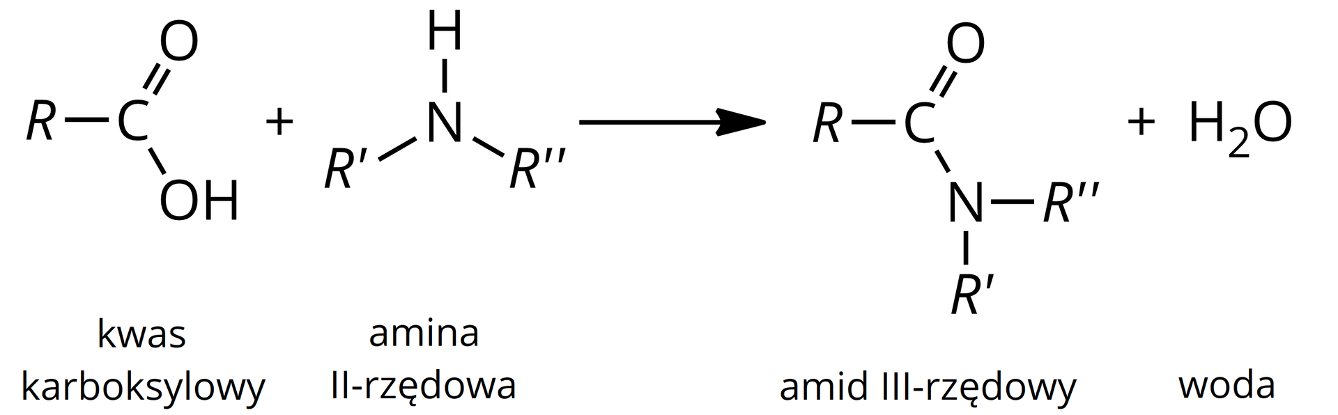 Ilustracja przedstawia schemat reakcji otrzymywania amidów III-rzędowych. Cząsteczka kwasu karboksylowego: do atomu węgla przyłączona wiązaniem pojedynczym grupa R i hydroksylowa OH oraz atom tlenu poprzez wiązanie podwójne plus amina II-rzędowa o wzorze: R prim i R bis przyłączone do atomu azotu dodatkowo związanego atomem wodoru przez wiązanie pojedyncze, strzałka w prawo: amid III-rzędowy o wzorze: do atomu węgla przyłączona grupa R, wiązaniem podwójnym atom tlenu, wiązaniem pojedynczym atom azotu. Do atomu azotu dodatkowo przyłączone są grupa R prim oraz R bis. Produkt uboczny: cząsteczka wody.