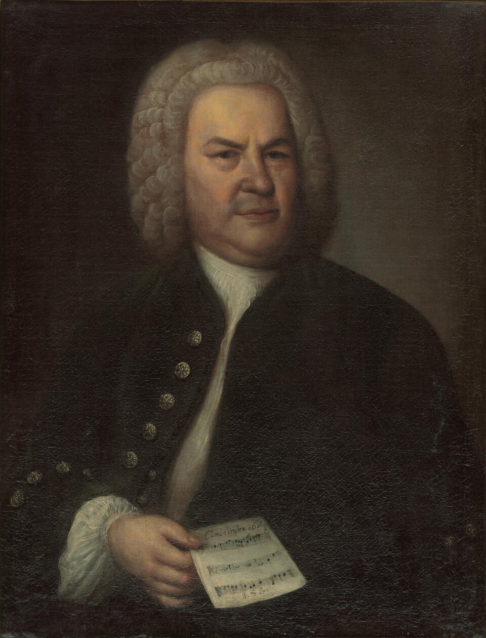 Ilustracja przedstawia portret Jana Sebastiana Bacha, autorstwa Eliasa Gottloba Haussmanna. Kompozytor przedstawiony został jako mężczyzna w średnim wieku, mocnej budowy ciała, z dość surowym wyrazem twarzy i przenikliwym spojrzeniem. Na głowie ma białą perukę, sięgającą do ramion. Ubrany jest w białą koszulę i ciemny surdut. W prawej ręce trzyma kartkę z zapisanymi nutami.