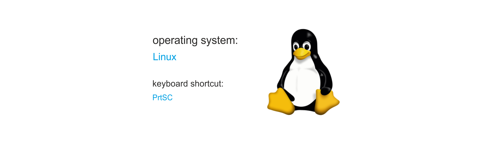 Ilustracja przedstawia logo systemu Linux, siedzącego pingwina. Po lewej stronie ilustracji znajdują się napisy: operating system: Linux oraz keyboard shortcut: PrtSC.