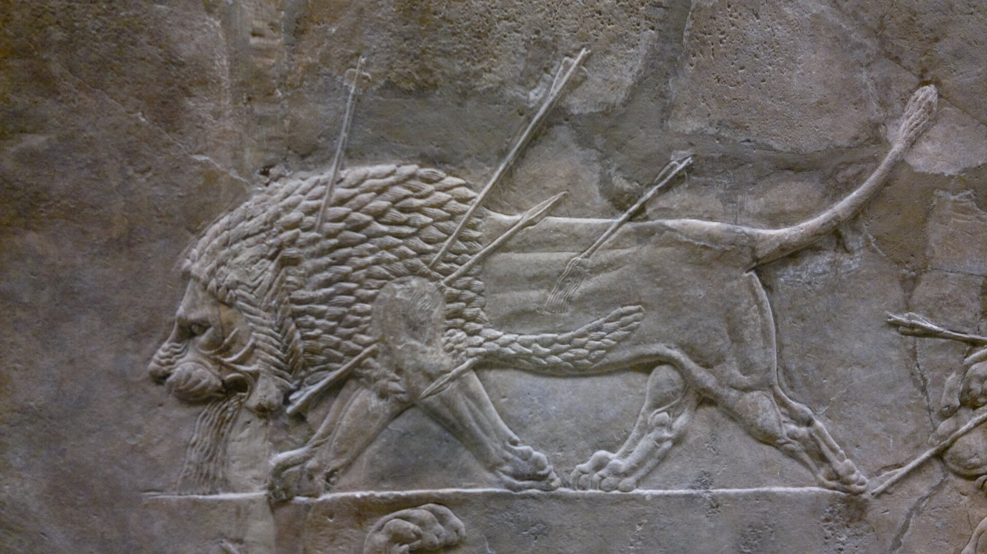 Ilustracja przedstawia relief „Umierający lew” z pałacu Asurbanipal. Ukazuje lwa, w którego ciele znajdują się strzały. Zwierzę ostatnimi siłami podąża naprzód, ma pochylony łeb, z pyska ciekną mu strugi krwi.