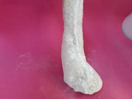 Zdjęcie przedstawia odlew gipsowy stopy powstały z negatywu.