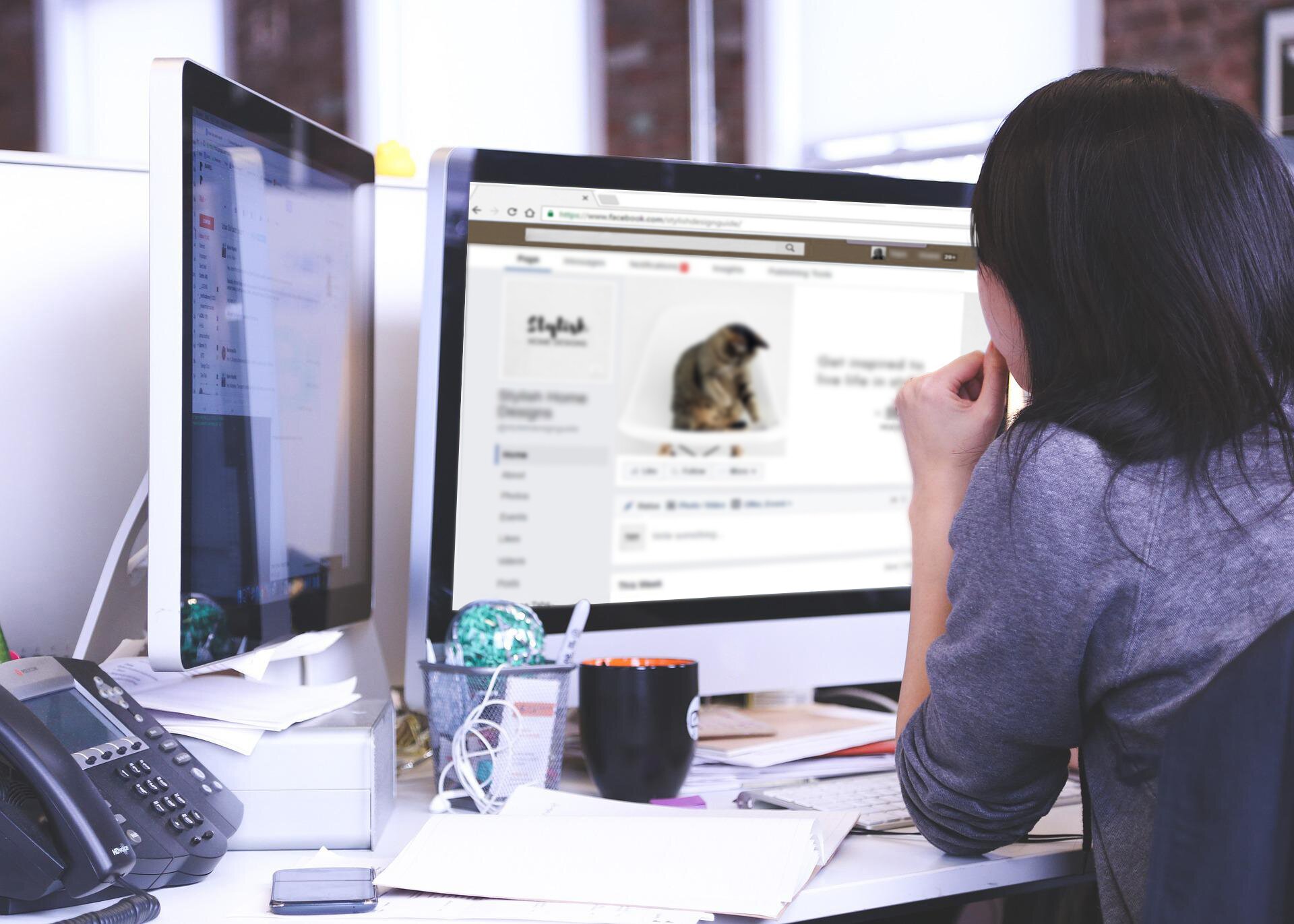 Widoczna jest kobieta siedząca przy komputerze. Na monitorze widoczna jest strona medium społecznościowego ze zdjęciem kota. 