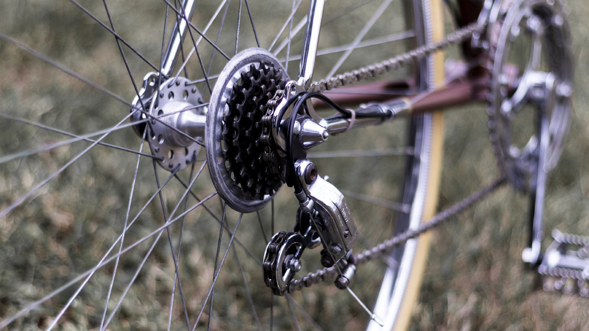 Zdjęcie przedstawia przerzutkę na tylnym kole roweru.
