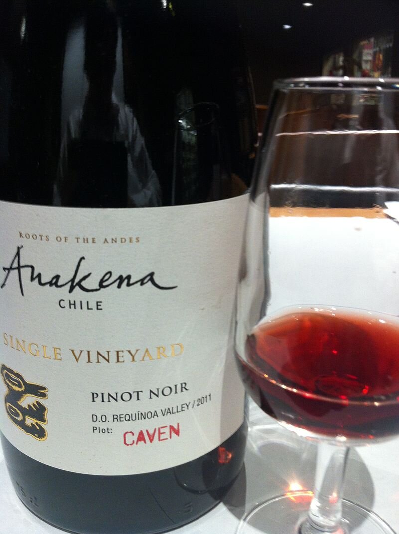 Pinot Noir z doliny Requínoa