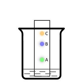 Ilustracja przedstawia zlewkę, na dnie której znajduje się roztwór rozdzielający. W zlewce umieszczona jest bibuła filtracyjna, na której znajdują się plamy barwników, kolejno od dołu: zielony oznaczony jako A, niebieski oznaczony jako B i pomarańczowy oznaczony jako C. 