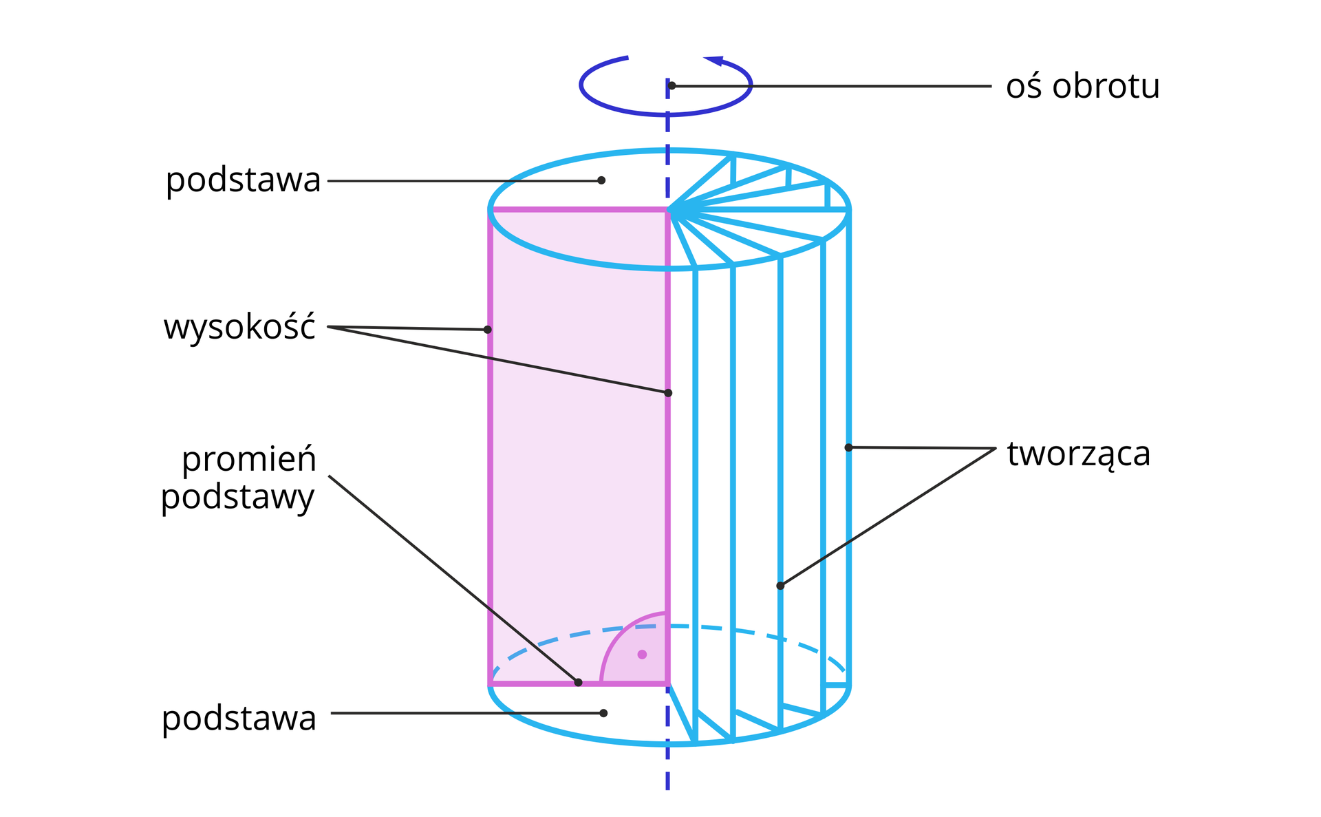 Ilustracja przedstawia walec powstały poprzez obrót prostokąta wokół prostej zawierającej jego dłuższy bok. Na rysunku zaznaczono także podstawę walca będąca kołem, promień podstawy walca,  tworzącą oraz wysokość mającą taką samą długość oraz oś obrotu przechodzącą przez środek podstawy pod kątem prostym.