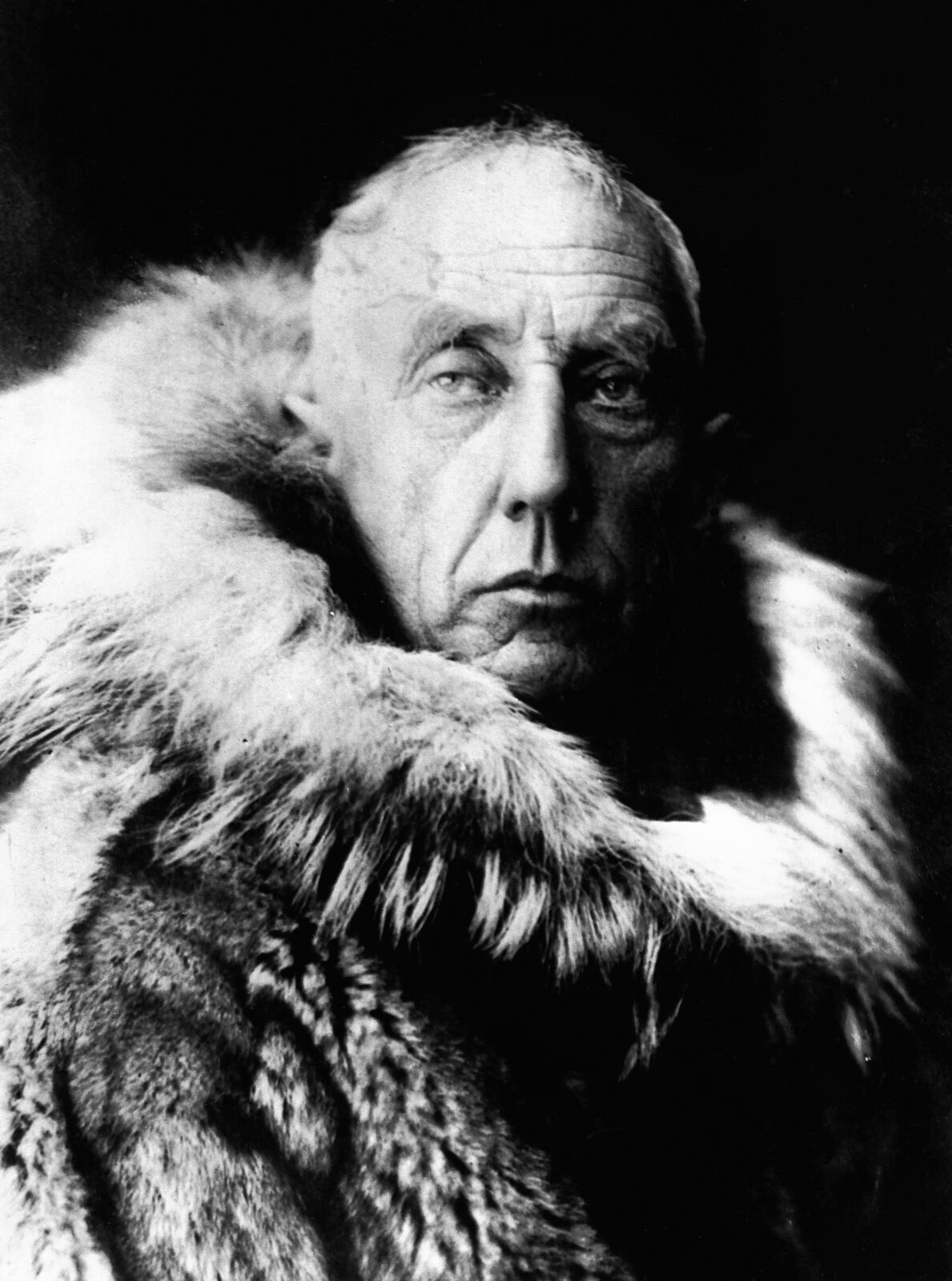 Roald Amundsen (Norweg). Na zdjęciu mężczyzna ubrany w futro. Patrzy w prawą stronę, ukazany od ramion w górę. Zmarszczki na twarzy, gęste brwi. Duży i prosty nos.