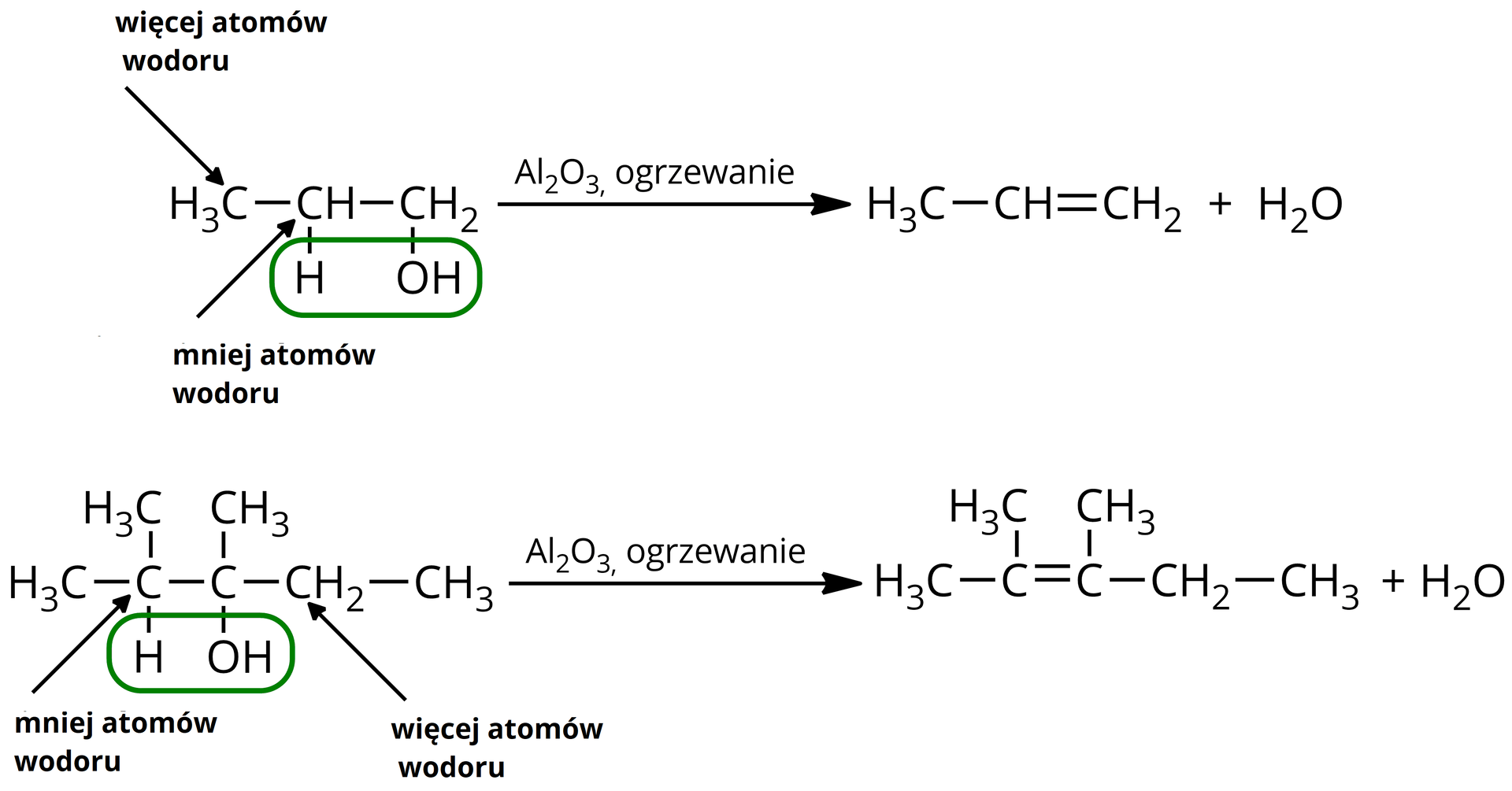 Ilustracja przedstawiająca dwa przykłady reakcji dehydratacji zachodzącej zgodnie z regułą Zajcewa. Pierwsza reakcja chemiczna. Cząsteczka propan-1-olu zbudowanego z grupy metylowej CH3 połączonej z grupą metylenową CH2 z wyszczególnionym atomem wodoru. Grupa ta związana jest z kolejną grupą metylenową podstawioną grupą hydroksylową OH. Grupa metylowa w cząsteczce opisana jest następująco "więcej atomów wodoru", z kolei grupa metylenowa - "mniej atomów wodoru". Grupa hydroksylowa oraz wyszczególniony atom wodoru zostały zakreślone zieloną linią. Strzałka w prawo, nad strzałką Al2O3 oraz zapis "ogrzewanie". Za strzałką cząsteczka propenu zbudowanego z grupy metylowej CH3 związanej z grupą CH połączoną za pomocą wiązania podwójnego z grupą metylenową CH2. Dodać cząsteczkę wody H2O. Druga reakcja. Cząsteczka 2,3-dimetylopentan-3-olu zbudowanego z grupy metylowej CH3 połączonej z grupą CH z wyszczególnionym atomem wodoru. Grupa ta podstawiona jest grupą metylową CH3 i wiąże się z atomem węgla, który podstawiony jest grupą hydroksylową OH, grupą metylową CH3 oraz grupą metylenową CH2 podstawioną grupą metylową. Grupy sąsiadujące z atomem węgla podstawionym grupą hydroksylową zostały podpisane. Grupa metylenowa w cząsteczce opisana jest następująco "więcej atomów wodoru", z kolei grupa CH - "mniej atomów wodoru". Grupa hydroksylowa oraz wyszczególniony atom wodoru zostały zakreślone zieloną linią. Strzałka w prawo, nad strzałką Al2O3 oraz zapis "ogrzewanie". Za strzałką cząsteczka 2,3-dimetylopent-2-enu zbudowanego z grupy metylowej CH3 związanej z atomem węgla podstawionym grupą metylową i połączonym za pomocą wiązania podwójnego z drugim atomem węgla związanym z grupą metylową CH3 oraz grupą etylową CH2CH3. Dodać cząsteczkę wody H2O.