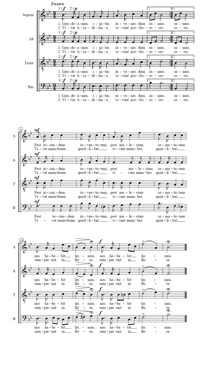 Pełny zapis nutowy utworu „Gaudeamus igitur". Utwór przeznaczony jest na czterogłosowy chór mieszany. Każdy system składa się z czterech pięciolinii. Pierwsza z nich przeznaczona jest dla sopranu, druga dla altu, trzecia dla tenoru, czwarta dla basu. Cały utwór składa się z trzech systemów. Na początku każdej pięciolinii pojawia się klucz (w 3 górnych sopranowy, w 4 basowy) po kluczu dwa bemole b i es. Pierwsze dźwięki utworu to w kolejności: b, f, d, b.