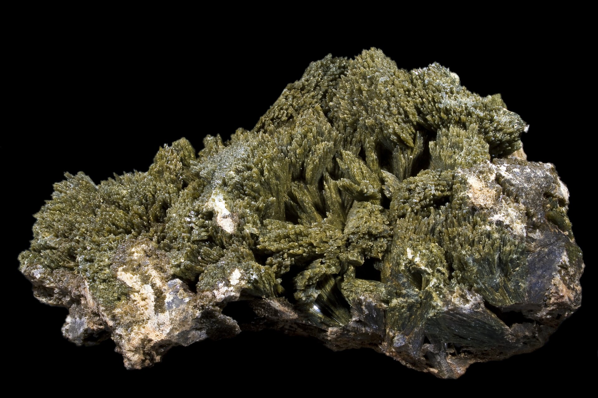 Na zdjęciu zielonkawy minerał. Jego strukturę tworzą różnej długości zlepione ze sobą skupiska igieł. 