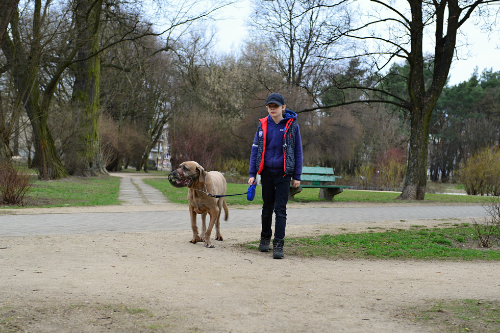 Fotografia przedstawia chłopca w wieku około dziesięciu lat, spacerującego z psem po parku. Chłopiec ubrany jest w sportową kurtkę (rozpiętą), dżinsy, buty typu traperki. Pies jest dużym psem sięgającym mniej więcej do pasa chłopcu. W parku jest pusto nie ma innych osób poza chłopcem.