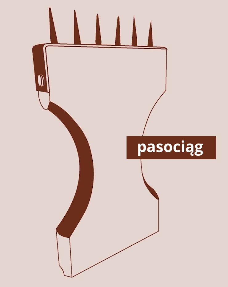 Grafika przedstawia pasociąg. Jest to przyrząd składający się z prostokątnej rączki o wklęsłych bokach oraz kolców znajdujących się w górnej części narzędzia.