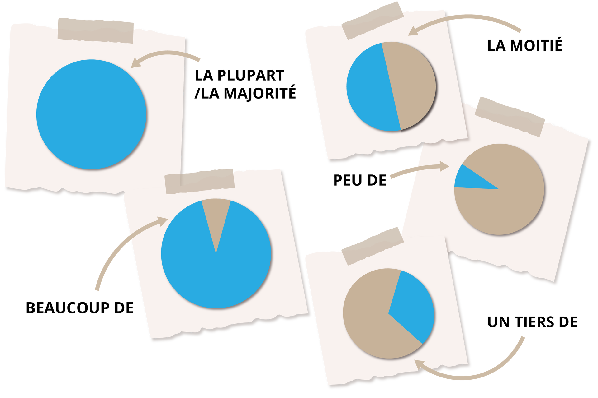 Ilustracja przedstawia pięć wykresów kołowych, na których kolorem niebieskim zaznaczono różne przedziały. Wykres zakolorowany w całości podpisano la pluparte / la majorité . Wykres zakolorowany równo w połowie podpisano  la moitié. Wykres pokolorowany niemal w całości podpisano beaucoup de . Wykres, którego zakolorowano mniej niż połowę, podpisano  un tiers de . Wykres, którego zakolorowano tylko mały fragment, podpisano  un tiers de
