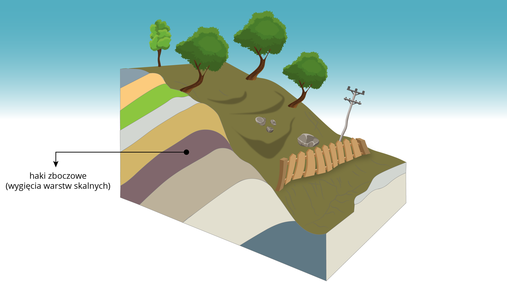  Rysunek przedstawia schemat spełzywania. Ujęty jest na nim jest stok, pod którym znajdują się warstwy skalne. Część z nich przy powierzchni jest zakrzywiona, co powoduje, że na stoku niektóre warstwy są wypiętrzone. Te wypukłe formy terenu są zaznaczone i podpisane na schemacie jako haki zboczowe. Na powierzchni stoku znajdują się przechylone drzewa, płot i osuwające się kamienie. 