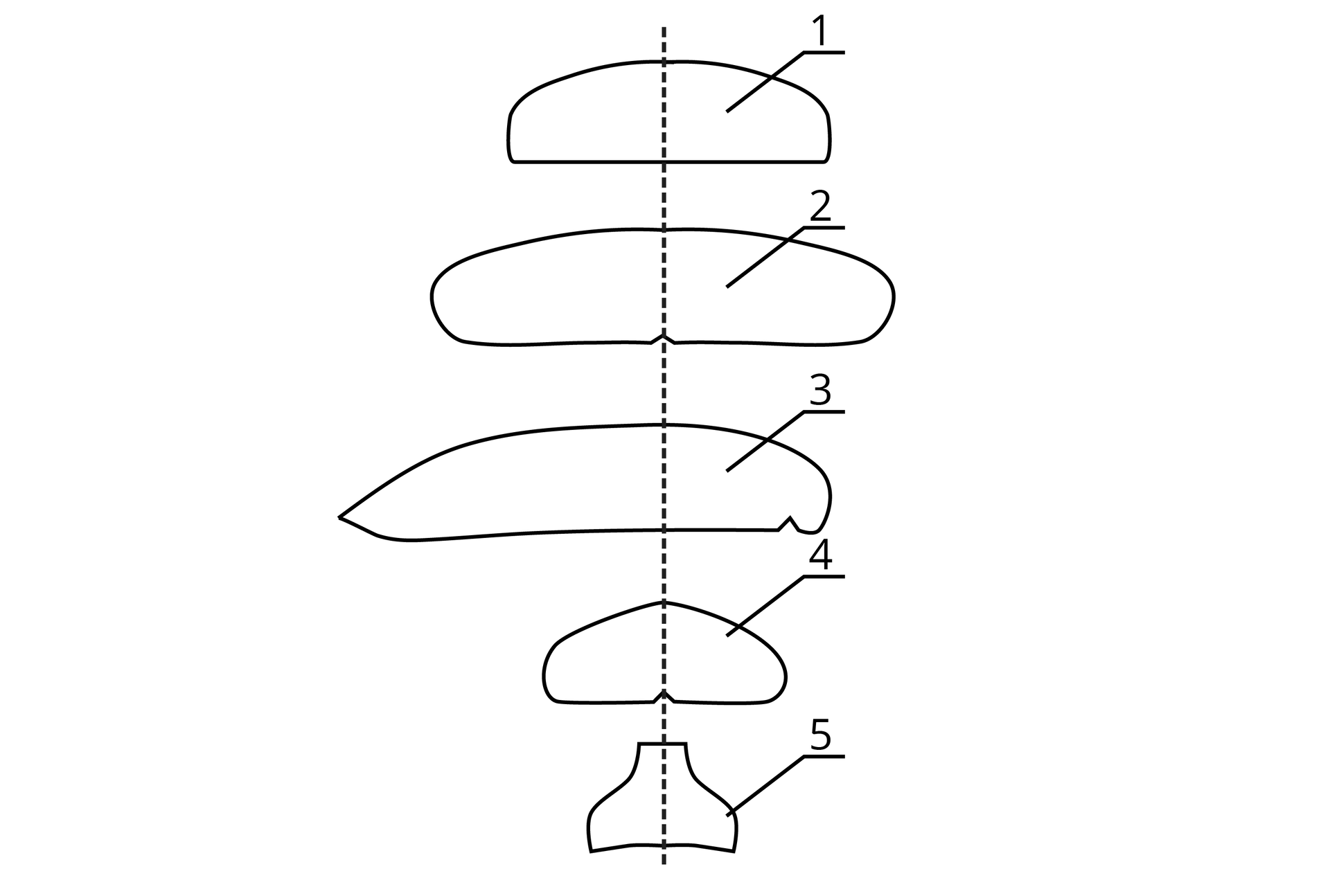 Grafika przedstawia pięć nieregularnych, kulistych kształtów ułożonych jeden pod drugim i oznaczonych kolejno numerami od 1 do 5. Wszystkie są przedzielone w połowie pionową przerywają linią. Największe są kształty drugi oraz trzeci, najmniejszy jest ostatni, ten przypomina szyjkę butelki.