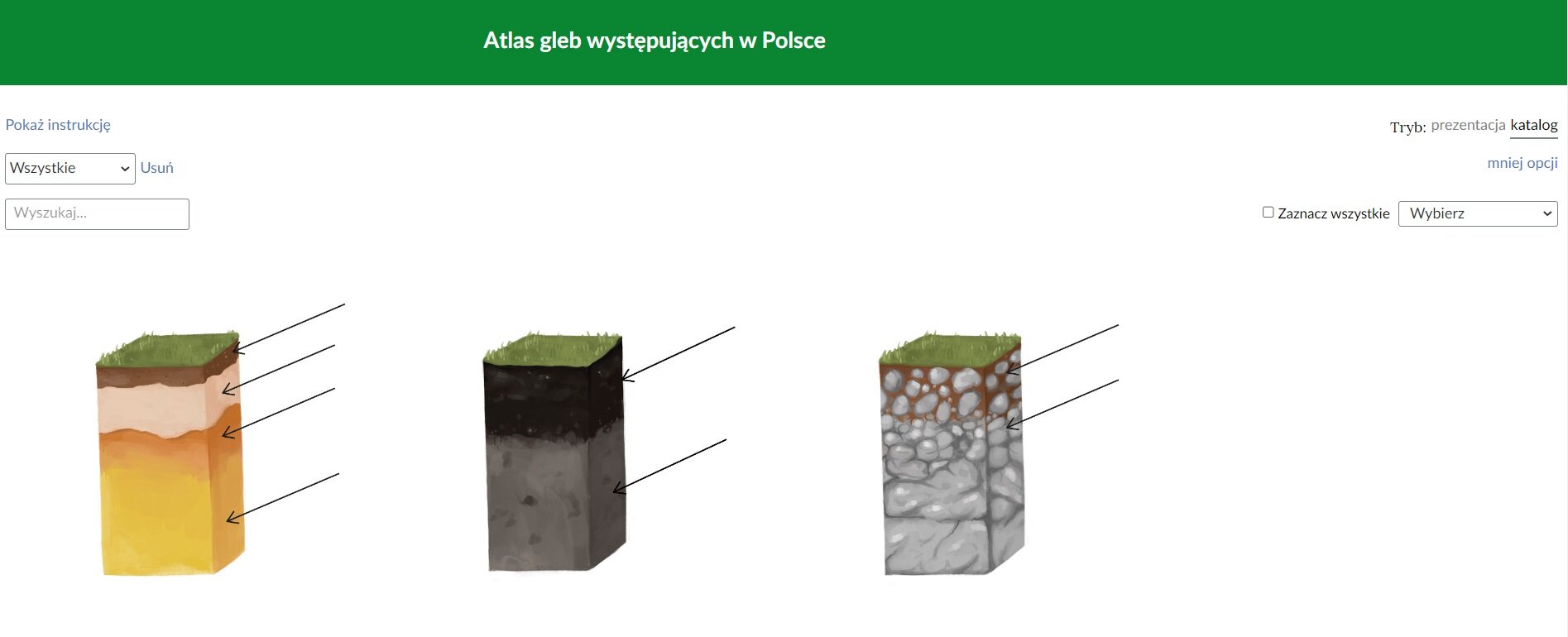 Przykładowy widok danego katalogu w atlasie. Na górnym pasku znajduje się napis: „Atlas gleb występujących w Polsce”. W lewym górnym rogu znajduje się wyszukiwarka katalogów. W prawym górnym rogu znajduje się opcja przełączania trybu z katalogu na prezentację. Poniżej widoczne są trzy grafiki z różnymi rodzajami gleb. 