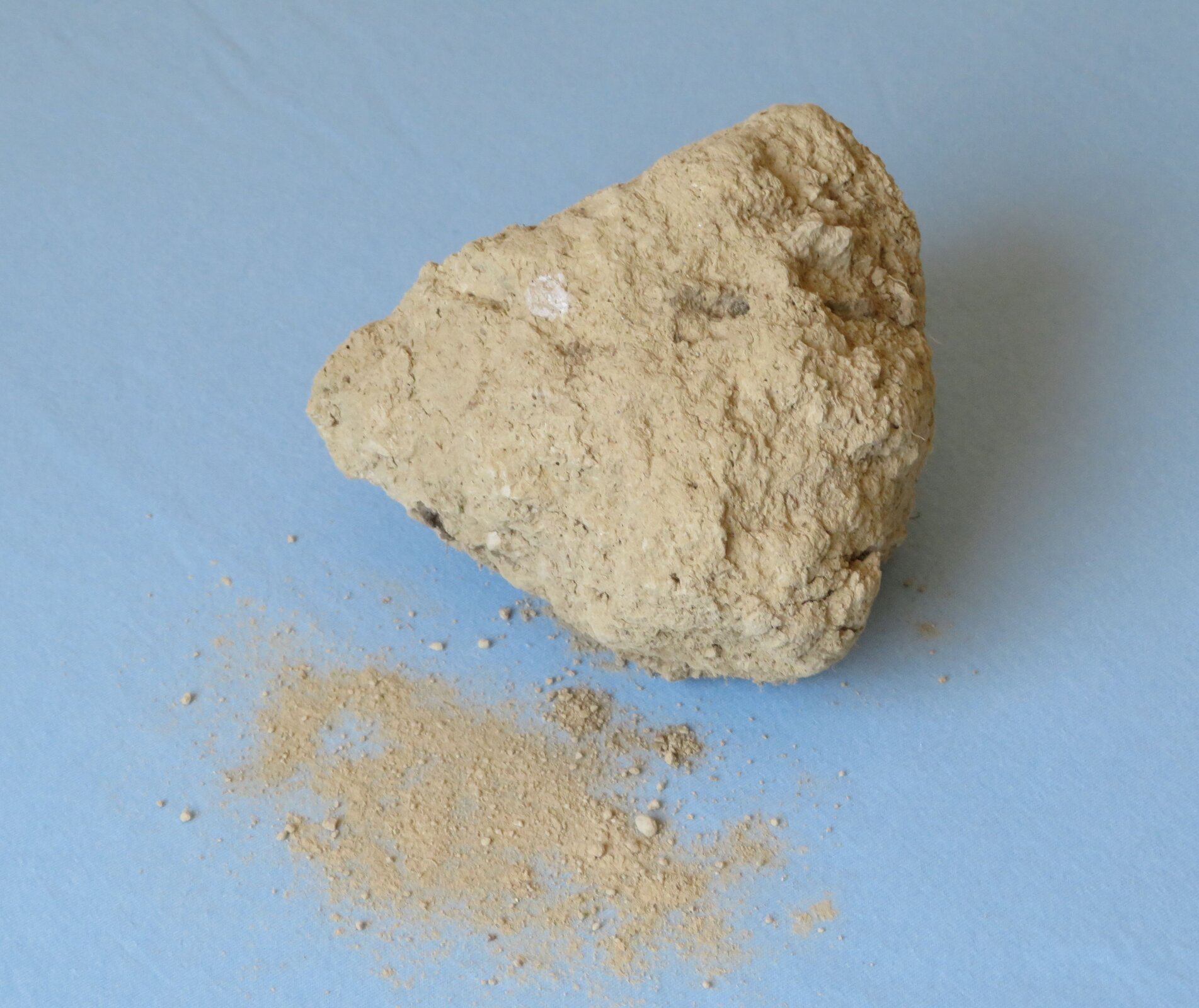 Fotografia skały lessowej. Bryła o nieregularnym kształcie, kilku centymetrach średnicy o jasnopiaskowym kolorze. Obok bryłki drobiny pyłu.