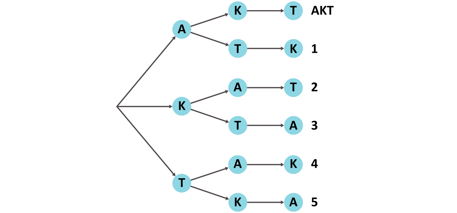 Ilustracja przedstawia drzewo decyzyjne. Gałęzie przedstawiają litery T K oraz A.  Z litery T wychodzą dwie gałęzie oznaczające literę K, A  podpisane jako 5 oraz A i K podpisane jako cztery.  Z litery K wychodzą dwie gałęzie oznaczające literę T i A podpisane jako 3 oraz  A i T podpisane jako dwa. Z litery A wychodzą dwie gałęzie oznaczające literę t i K podpisane jako 1 oraz K i T, podpisane jako AKT.