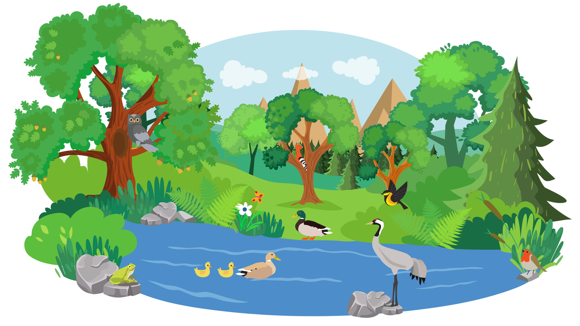 Ilustracja przedstawia rozległy teren porośnięty zielenią. W tle widać wysokie brązowe góry na tle błękitnego nieba z jasnymi chmurami. Dookoła rosną drzewa iglaste i liściaste, zielone krzewy, kępki wysokiej trawy, paprocie i pojedynczy biały kwiat. Gdzieniegdzie leżą szare kamienie. Na kamieniu znajdującym się na pierwszym planie, po lewej stronie ilustracji, siedzi zielona żaba. Na kamieniu leżącym pośrodku stoi żuraw. Całkiem po prawej stronie siedzi na kolejnym kamieniu rudzik. Jest to ptak, który ma czerwone upierzenie na szyi, jasnobrązowe na brzuchu i brązowe na grzbiecie i skrzydłach. Nieco dalej, na całej szerokości ilustracji, widać fragment zbiornika wodnego. Środkiem płynie jasnobrązowa kaczka, a za nią podążają dwa żółte pisklęta. Na brzegu zbiornika stoi samiec kaczki krzyżówki. Ma zielone upierzenie na głowie, beżowe na brzuchu i ciemnobrązowe na skrzydłach i grzbiecie. Na prawo od niego leci wilga. Jest to ptak o czarno‑żółtym upierzeniu. Po lewej stronie kaczki lata niewielki pomarańczowy motylek. Na drzewie rosnącym po lewej stronie ilustracji siedzi sowa. Jest to duży szary ptak drapieżny. Na drzewie rosnącym w oddali siedzi dudek. Jest pomarańczowy i ma czarno‑białe skrzydła oraz czubek.