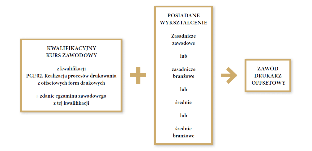 Grafika przedstawia ścieżkę możliwości kształcenia dla młodzieży szkół ponadpodstawowych i dla dorosłych w zawodzie drukarz offsetowy. Pierwszym krokiem do zawodu jest ukończenie kwalifikacyjnego kursu zawodowego z kwalifikacji P G F kropka zero dwa kropka. Realizacja procesów drukowania z offsetowych form drukowych i zdanie egzaminu zawodowego z tej kwalifikacji. Drugim krokiem jest posiadanie wykształcenia zasadniczego zawodowego lub zasadniczego branżowego lub średniego lub średniego branżowego.