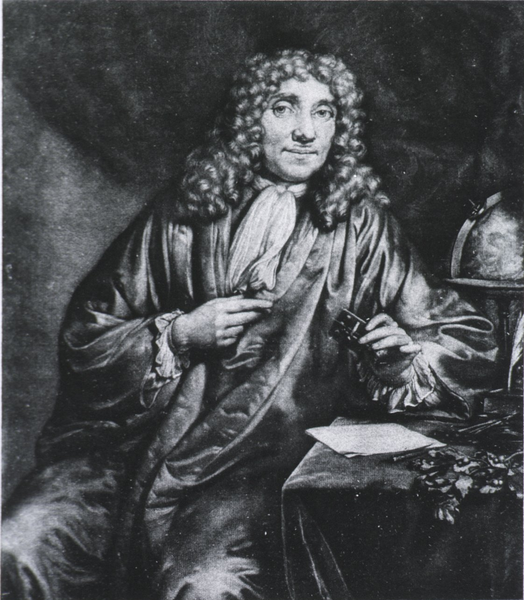 Antoni van Leeuwenhoek Antoni van Leeuwenhoek Źródło: Jan Verkolje, 1686, domena publiczna.