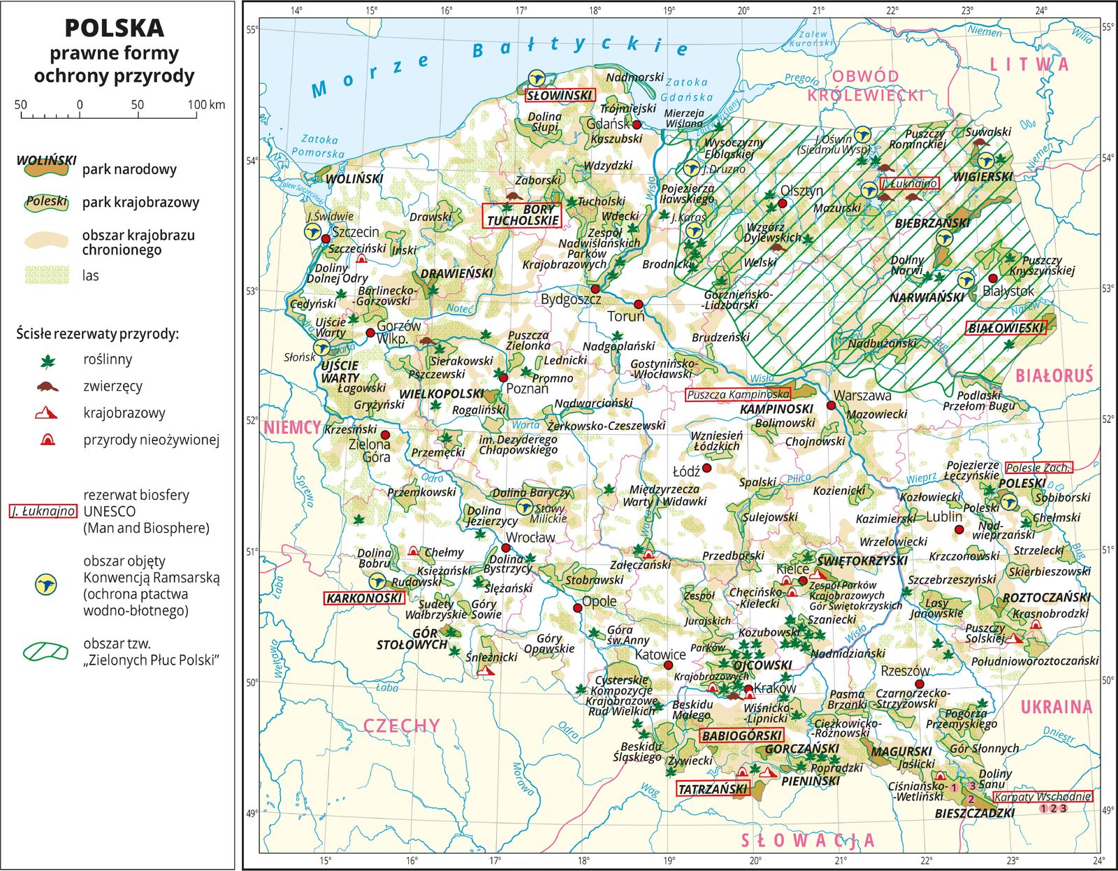 Ilustracja przedstawia mapę Polski. Oznaczono i opisano miasta wojewódzkie. Granice województw oznaczono czerwonymi liniami. Opisano państwa sąsiadujące. Na mapie za pomocą barwnych plam pokazano prawne formy ochrony przyrody w Polsce: parki narodowe, parki krajobrazowe, obszary chronionego krajobrazu i lasy. Występują one na całej powierzchni mapy jednak największe zagęszczenie widać w rejonie pojezierzy, wyżyn, kotlin oraz w górach. Opisano nazwy parków narodowych i rezerwatów. Nazwy miejsc, które są rezerwatami biosfery UNESCO otoczono czerwoną ramką – takich miejsc jest dziesięć i występują na terenie całej Polski. Za pomocą sygnatur przedstawiono rezerwaty przyrody: roślinne, zwierzęce, krajobrazowe, przyrody nieożywionej. Ich największe zagęszczenie jest na terenach parków narodowych i krajobrazowych – najwięcej na obszarze Wyżyny Krakowsko‑Częstochowskiej. Za pomocą sygnatury niebieskiego ptaka w żółtym kółku przedstawiono obszary objęte Konwencją Ramsarską – obszary ochrony ptactwa wodno‑błotnego – takich obszarów jest kilkanaście i występują głównie na Pojezierzu Mazurskim, w Dolinie Baryczy i u ujść rzek. Obszar „Zielonych Płuc Polski” zakreskowano kolorem zielonym, znajduje się on na północnym‑wschodzie i sięga do Bugu. Mapa zawiera południki i równoleżniki, dookoła mapy w białej ramce opisano współrzędne geograficzne co jeden stopień. W legendzie z lewej strony mapy objaśniono znaki użyte na mapie.