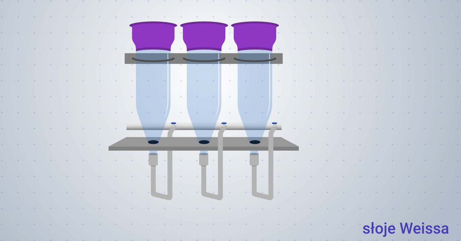 Obrazek przedstawia słoje Weissa. Są to otwarte w górnej części i zwężające się ku dołowi słoje. Na dole podłączone są do słojów rurki, umożliwiające przepływ wody.