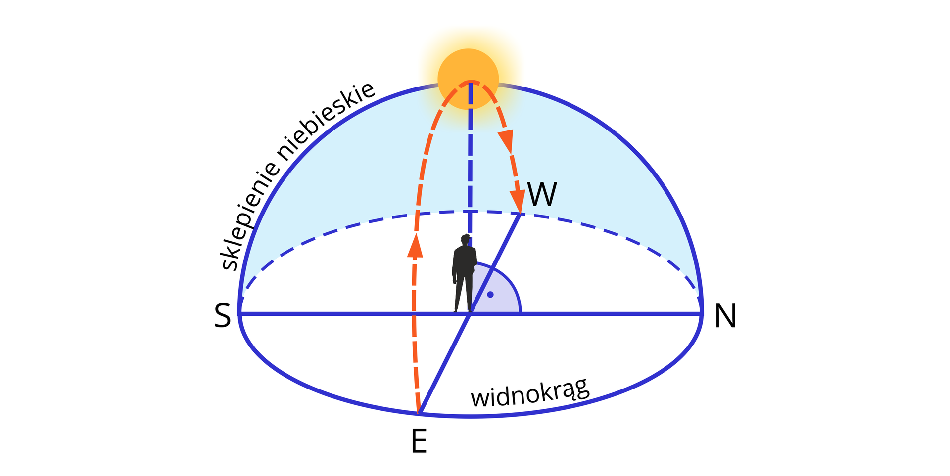 Ilustracja przedstawia półkulę. Przy podstawie oznaczono kierunki geograficzne oraz poprowadzono linię pomiędzy północą, a południem oraz pomiędzy wschodem a zachodem. Obwód podstawy to widnokrąg, a powierzchnia półkuli to sklepienie niebieskie. Na przecięciu linii stoi obserwator, centralnie nad nim na wysokości półkuli znajduje się słońce, które jest pod kątem prostym do podstawy. Zaznaczono przerywaną linią drogę słońca po sklepieniu niebieskim od wschodu do zachodu.
