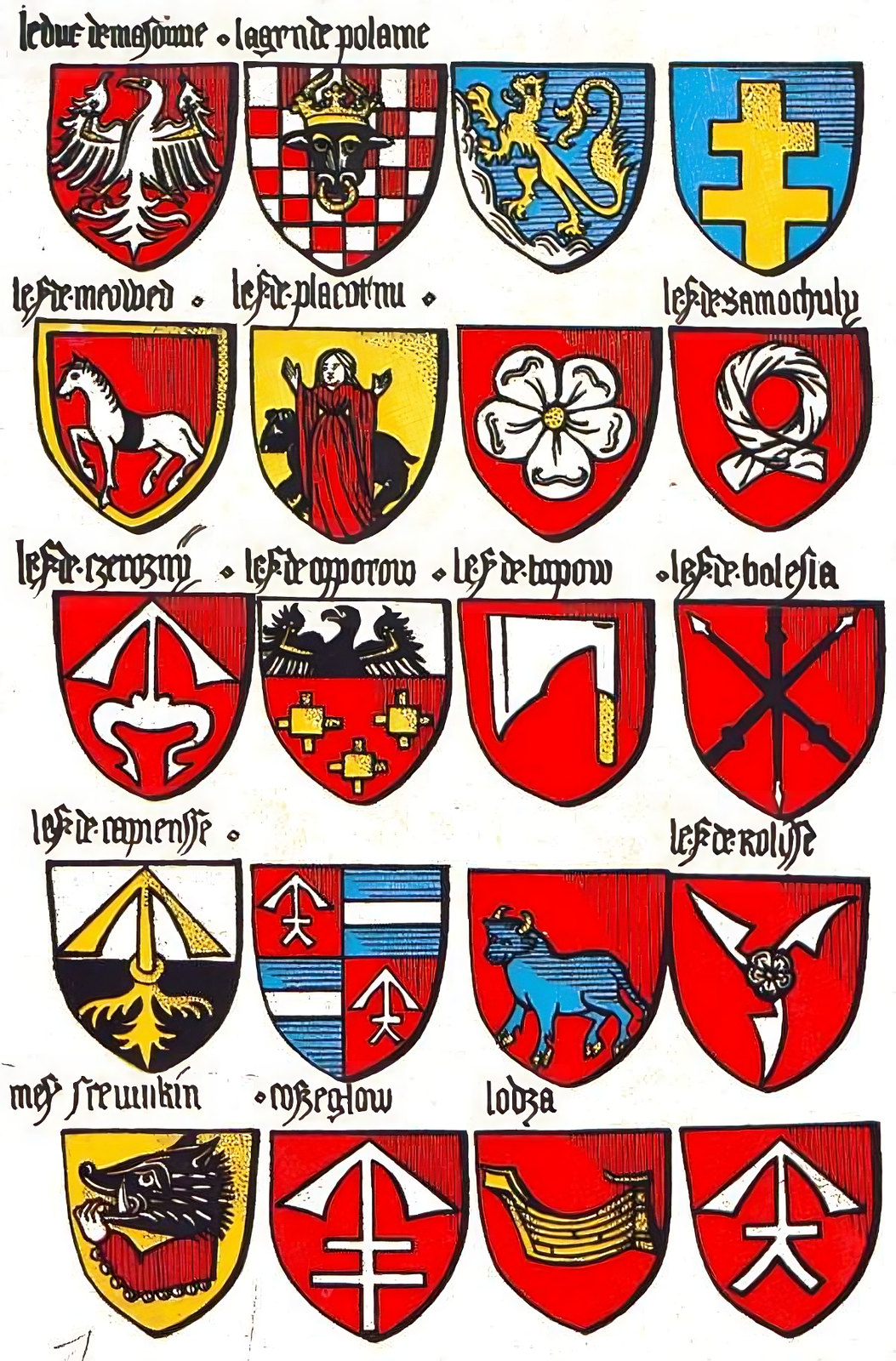 Ilustracja przedstawia jedną z kart tzw. herbarza Złotego Runa, na której ukazane zostały herby rodów rycerstwa polskiego. Na ilustracji dwadzieścia herbów, wśród nich znajduje się herb Nałęcz - pierwszy z prawej w drugim rzędzie od góry. Herb przedstawia zwiniętą w koło i łączącą się przy końcach białą chustę na czerwonej tarczy.