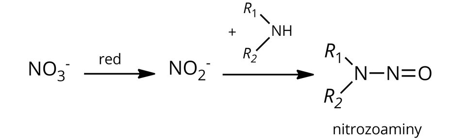 Ilustracja przedstawia ogólny schemat reakcji: N O, indeks dolny, trzy, koniec indeksu dolnego, indeks górny, minus, koniec indeksu górnego, strzałka w prawo, nad nią zapis: reduktor, za strzałką N O, indeks dolny, dwa, koniec indeksu dolnego, indeks górny, minus, koniec indeksu górnego, strzałka w prawo, nad nią zapis dodać cząsteczkę aminy drugorzędowej o wzorze: zbudowanym z grupy N H połączonej z grupami R indeks dolny, jeden, koniec indeksu dolnego oraz R indeks dolny, jeden, koniec indeksu dolnego. Za strzałką produkt reakcji, nitrozoamina zbudowana z atomu tlenu połączonego za pomocą wiązania podwójnego z atomem azotu, który to łączy się wiązaniem pojedynczym z kolejnym atomem azotu podstawionym dwiema grupami R indeks dolny, jeden, koniec indeksu dolnego oraz R indeks dolny, jeden, koniec indeksu dolnego.
