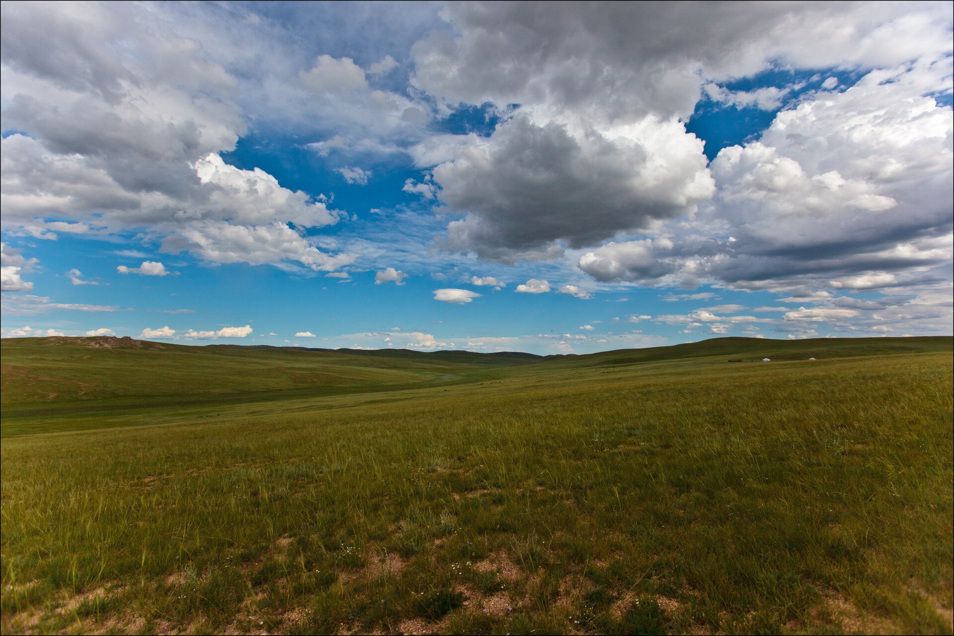 Fotografia prezentuje krajobraz stepu. Widoczny rozległy, równinny teren porośnięty trawą.