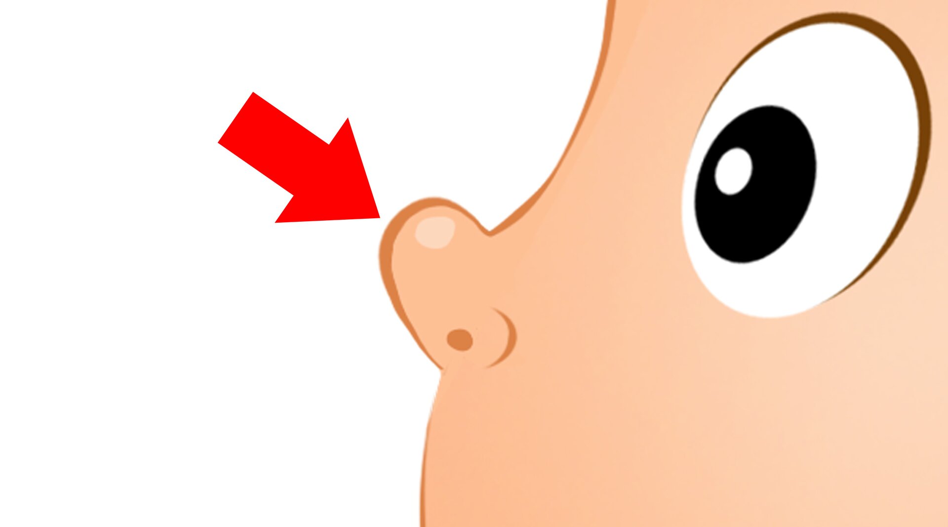 Ilustracja przedstawia nos.