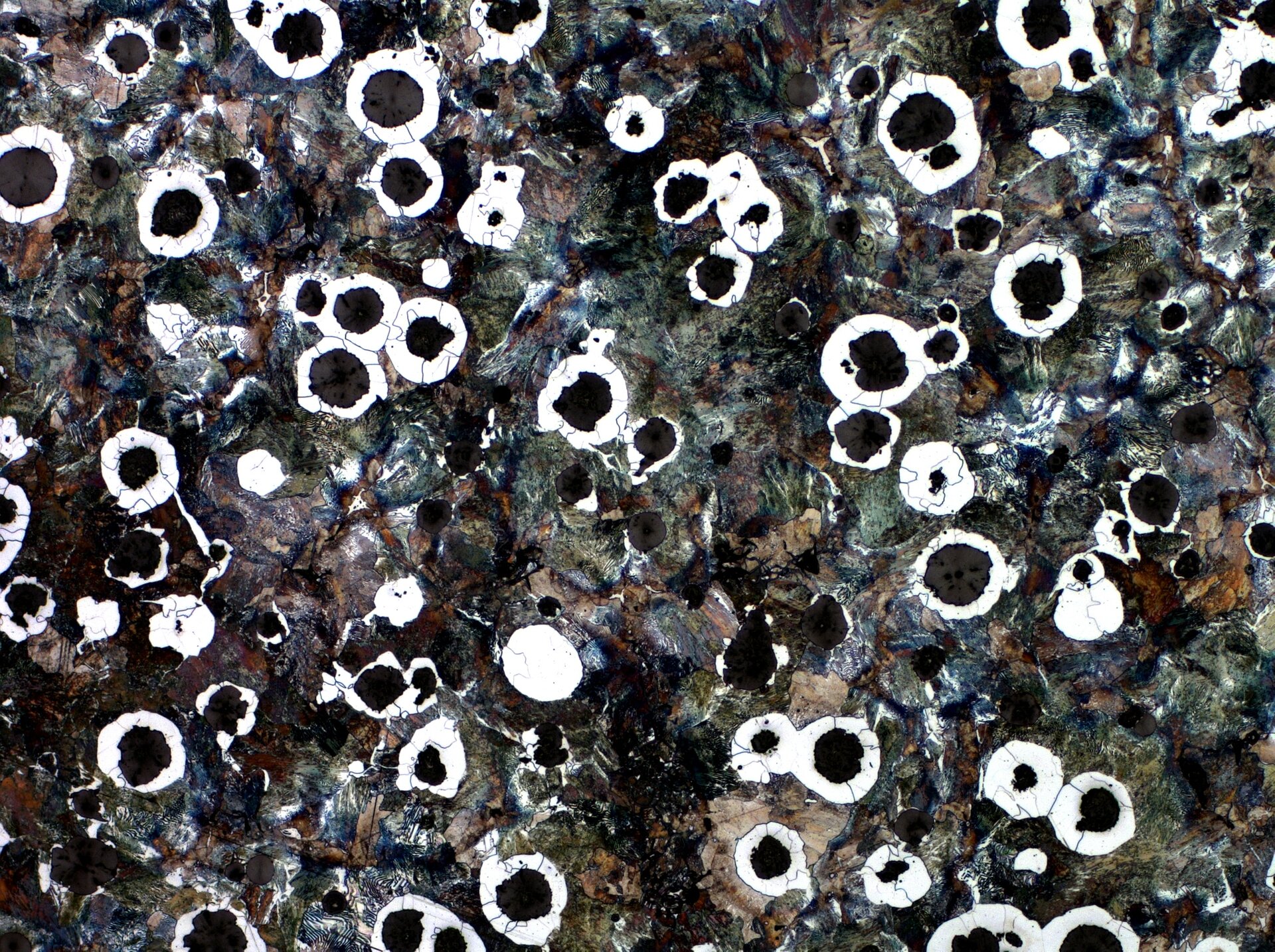 Żeliwo sferoidalne
Osnowa ferrytyczno‑perlityczna z grafitem sferoidalnym. Grafit sferoidalny jest otoczony ziarnami ferrytu, perliste wydzielenia to perlit - powiększenie 10x