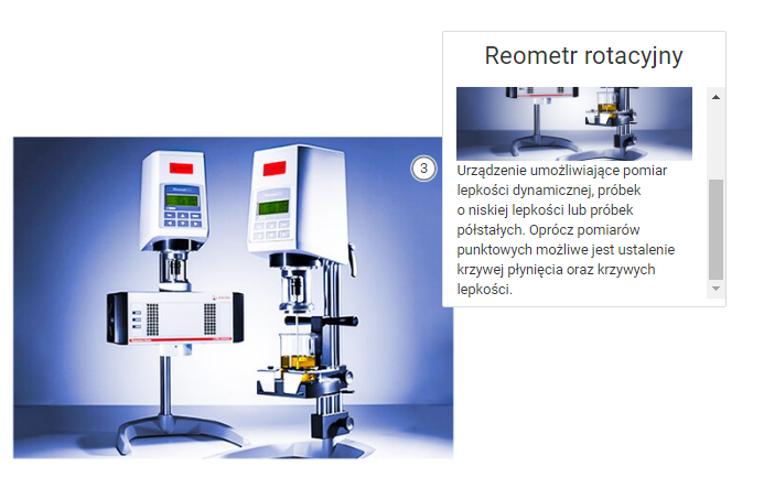 Przykładowy wygląd wyświetlenia opisu elementu 